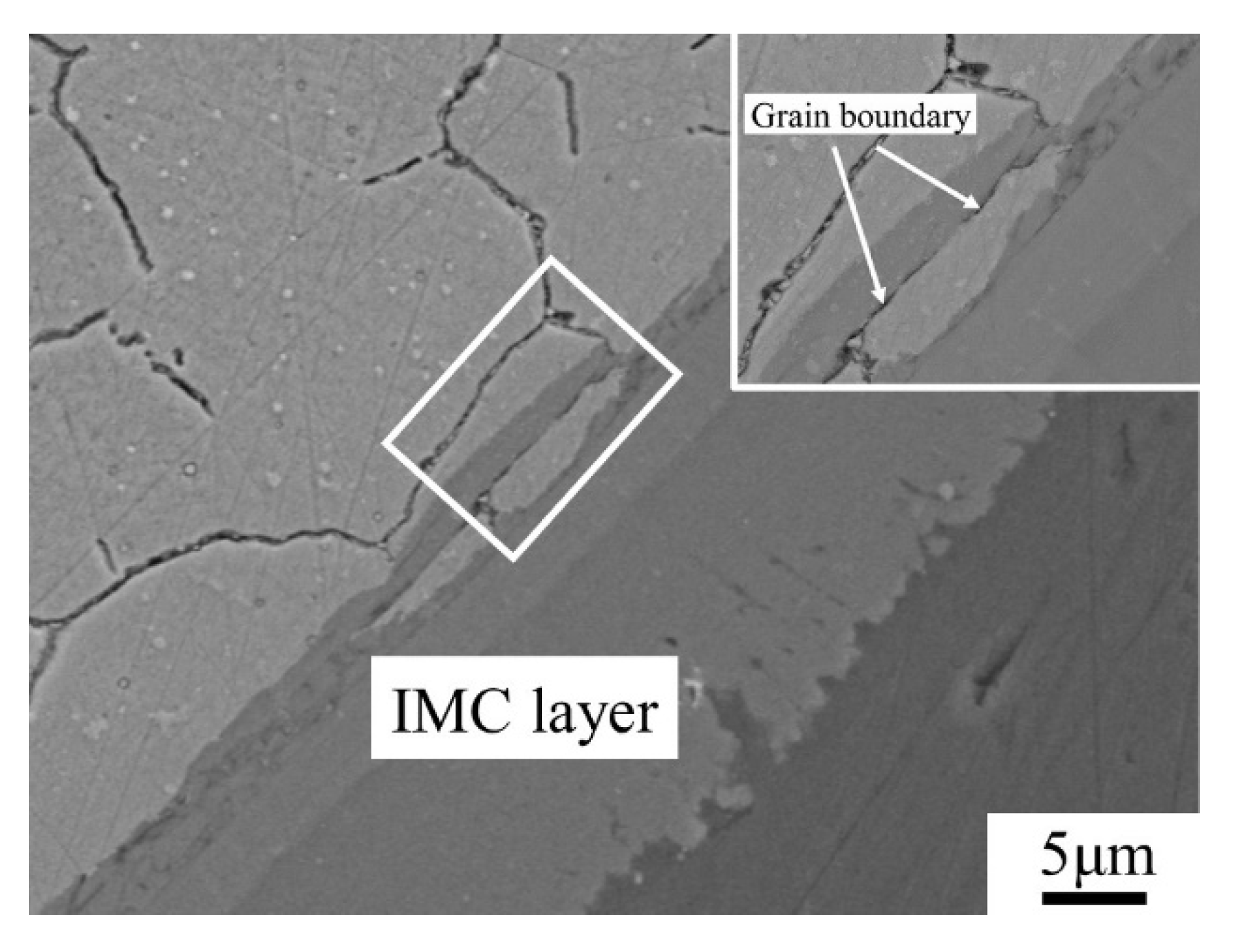 Coatings 12 00551 g012