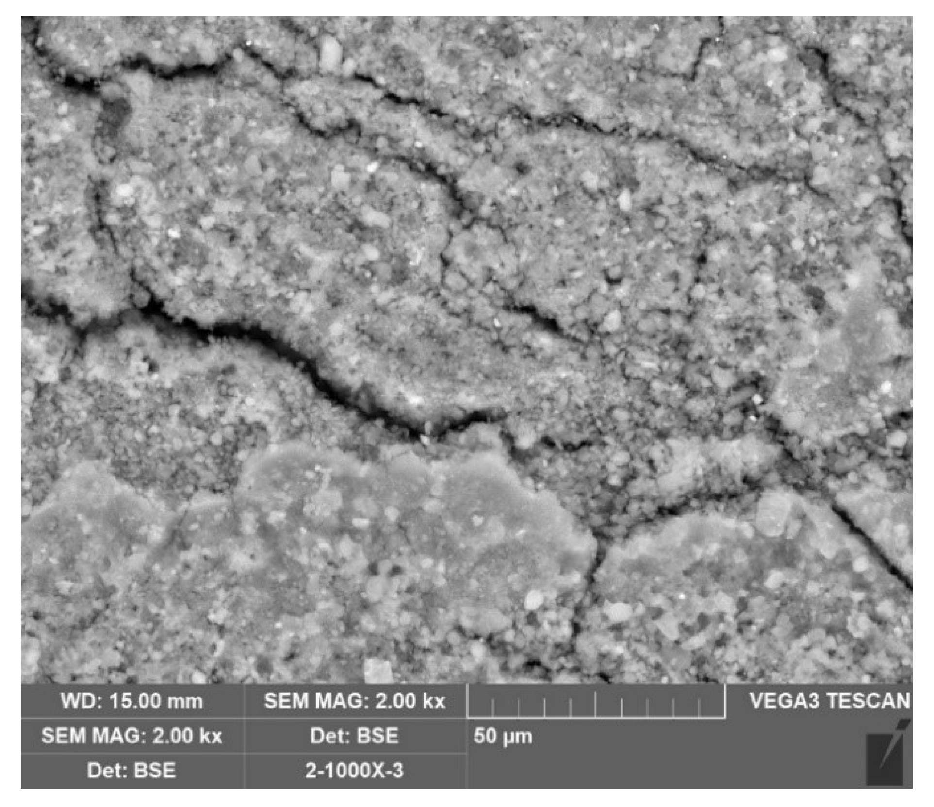 Coatings 12 00553 g008