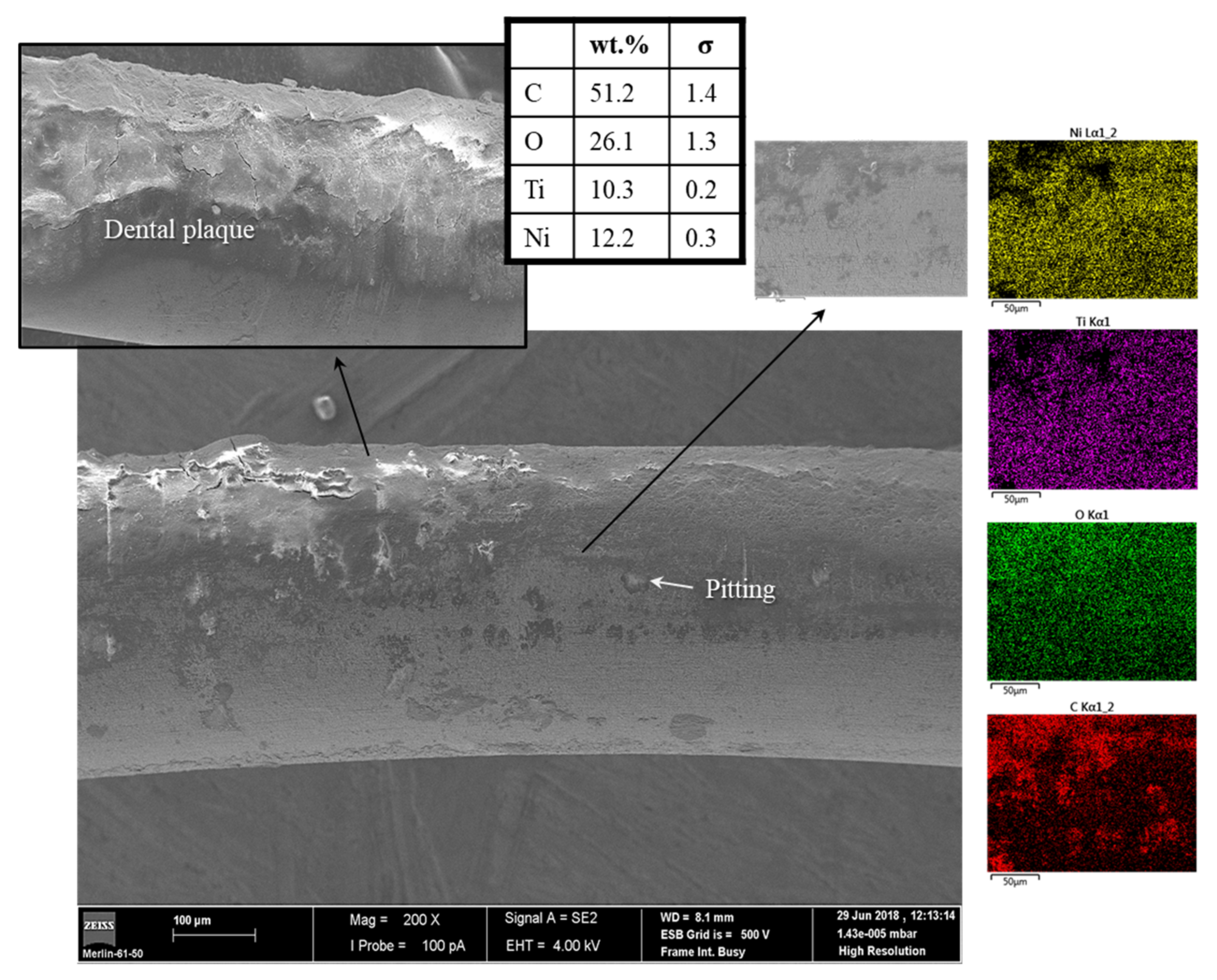 Coatings 12 00554 g003