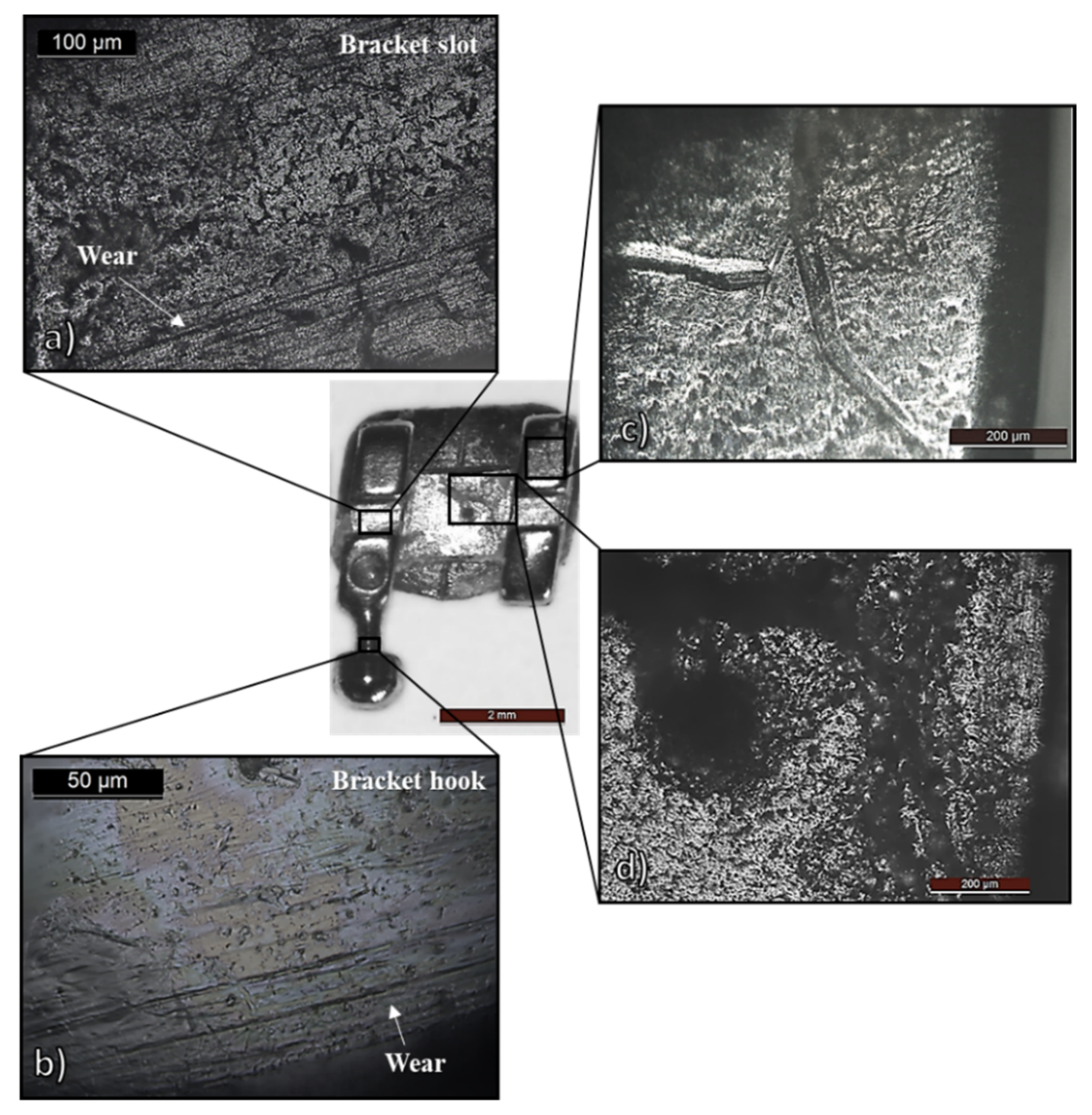 Coatings 12 00554 g004