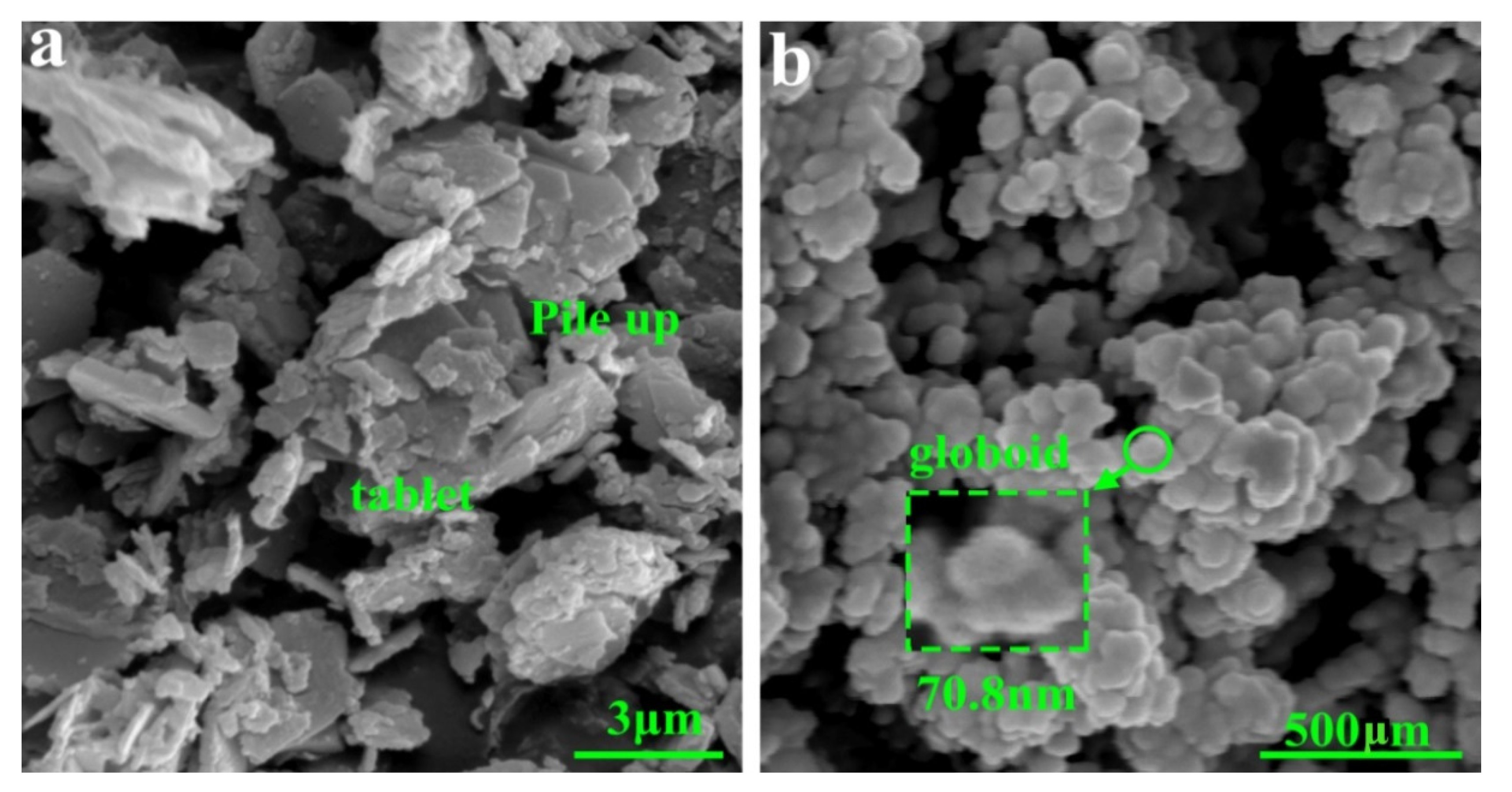 Coatings 12 00555 g002 550