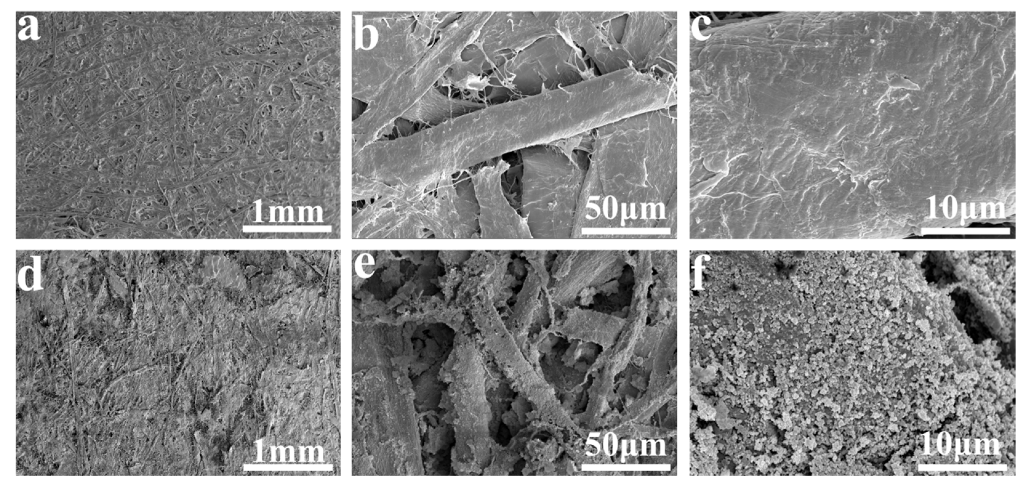 Coatings 12 00555 g003 550