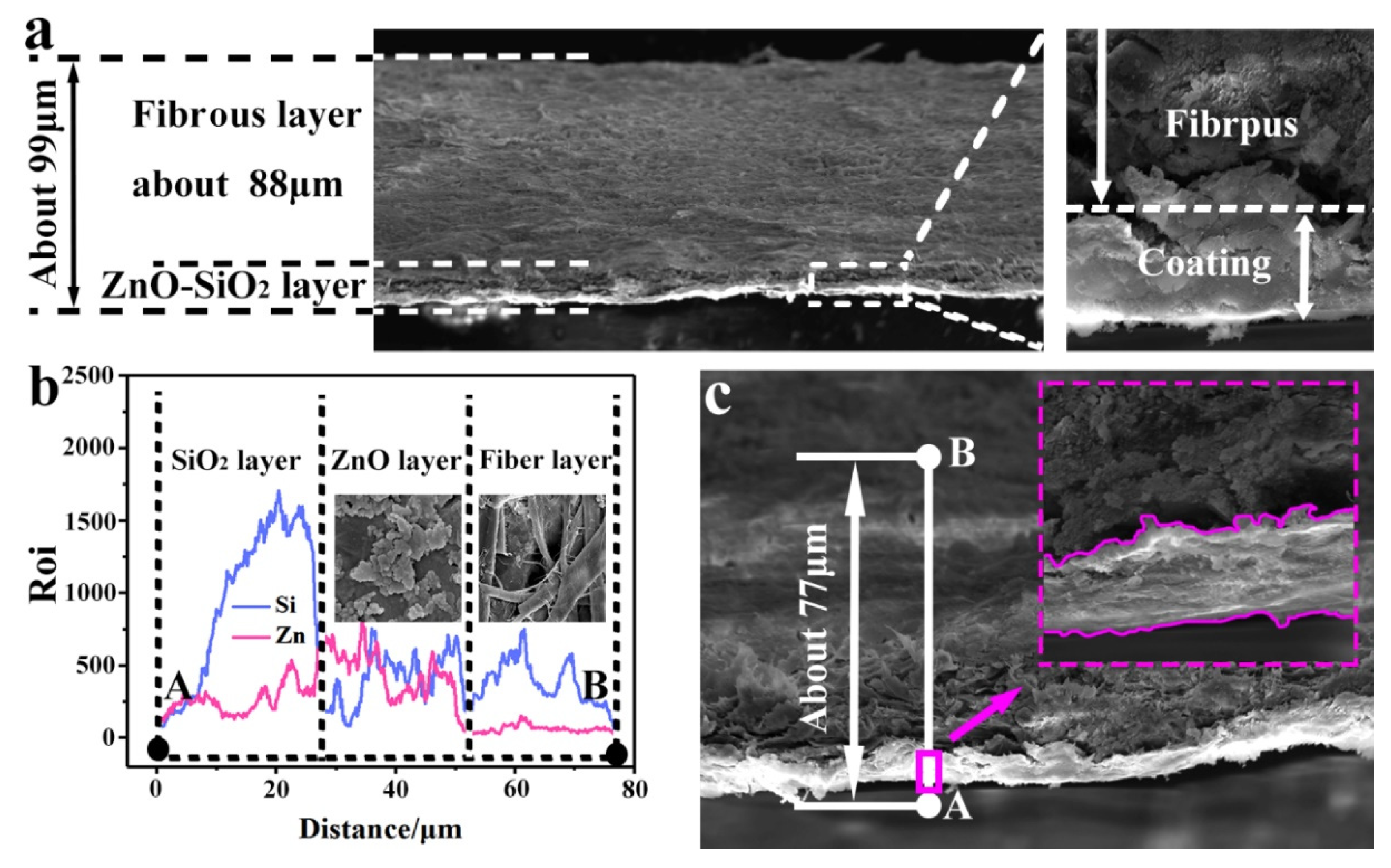 Coatings 12 00555 g006 550