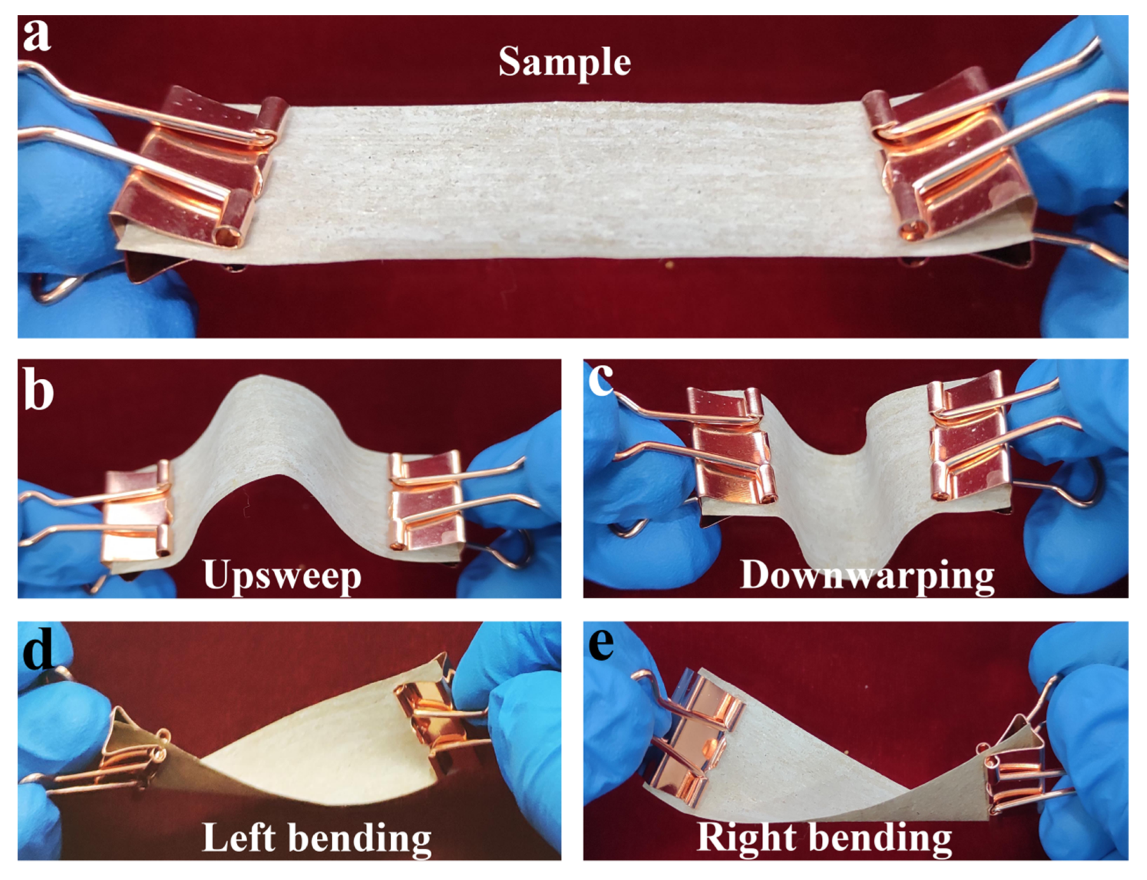 Coatings 12 00555 g007 550