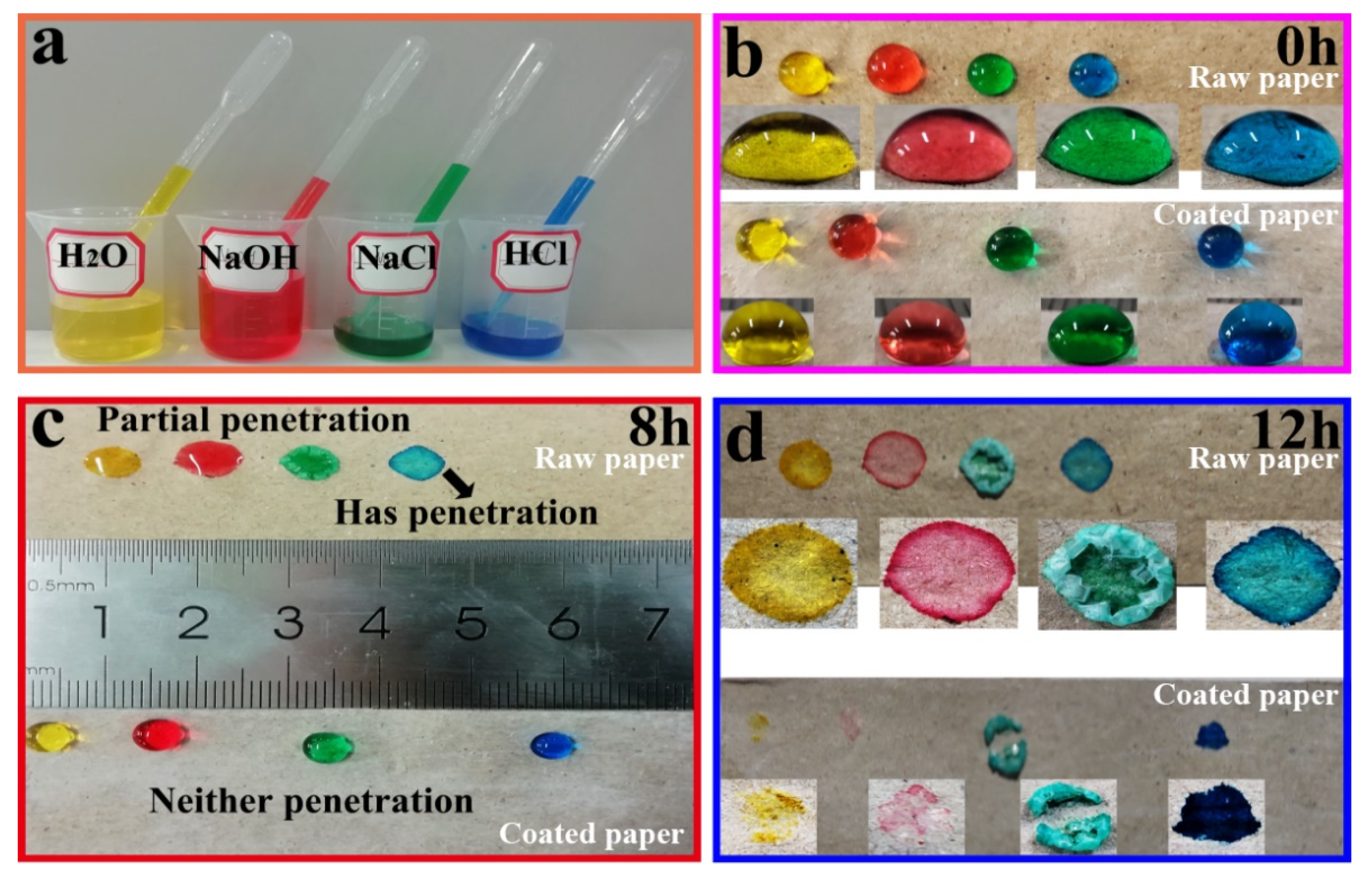 Coatings 12 00555 g009 550