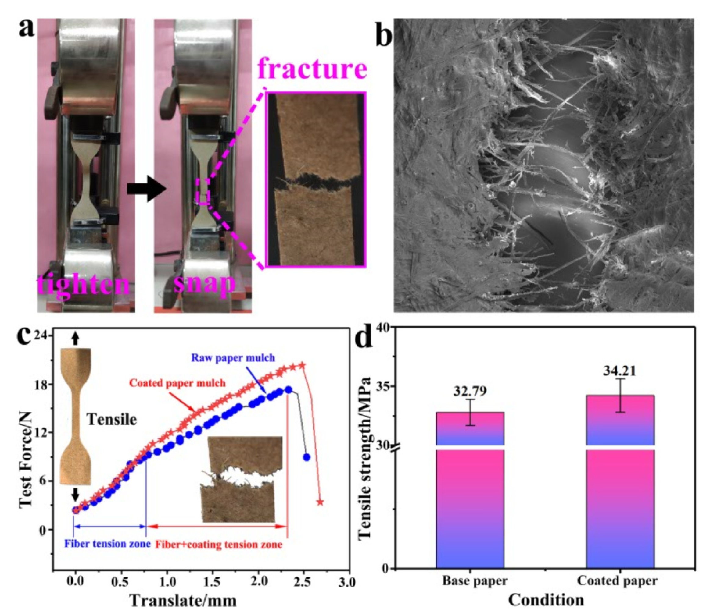 Coatings 12 00555 g010 550