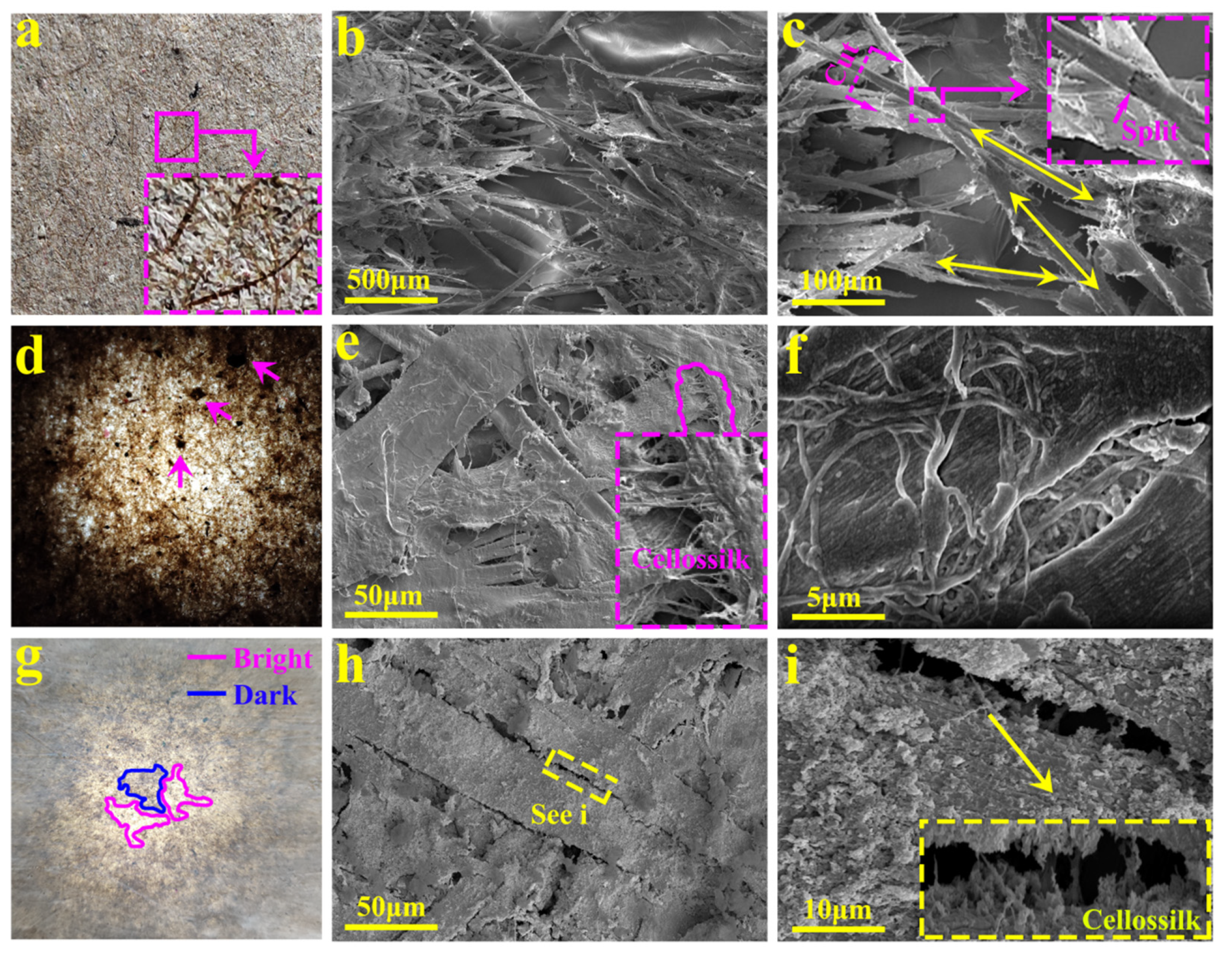 Coatings 12 00555 g011 550