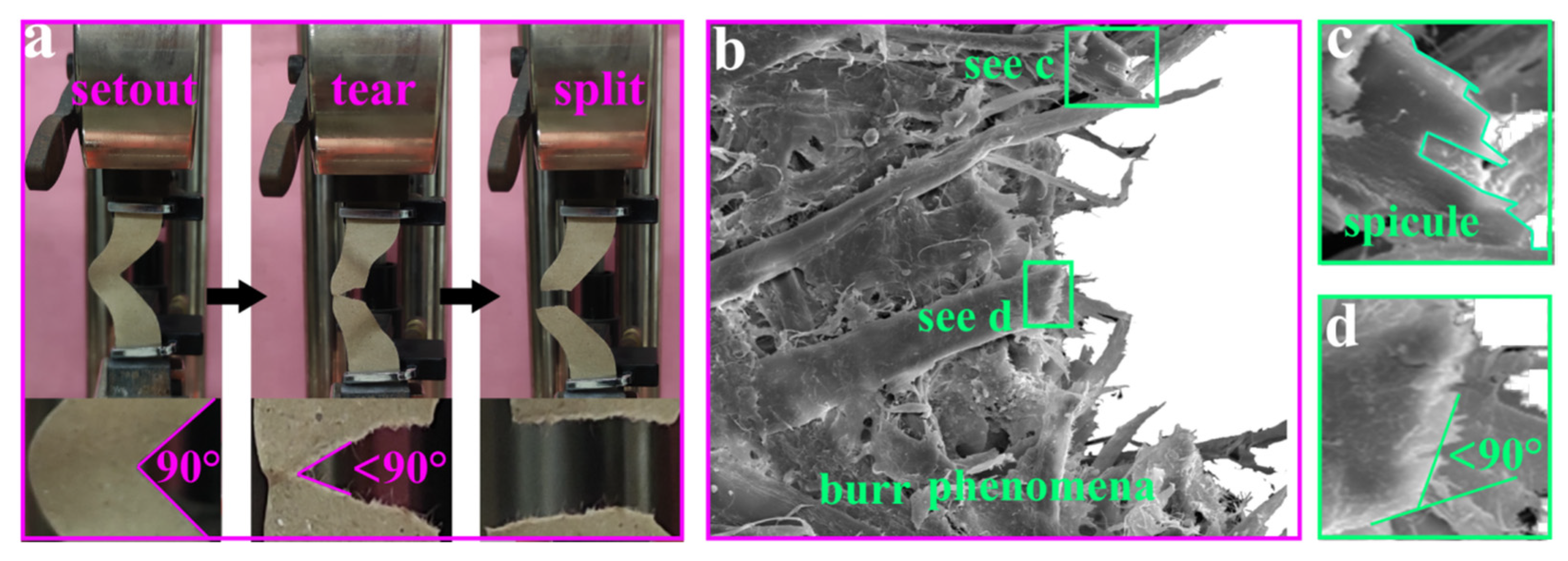 Coatings 12 00555 g013 550