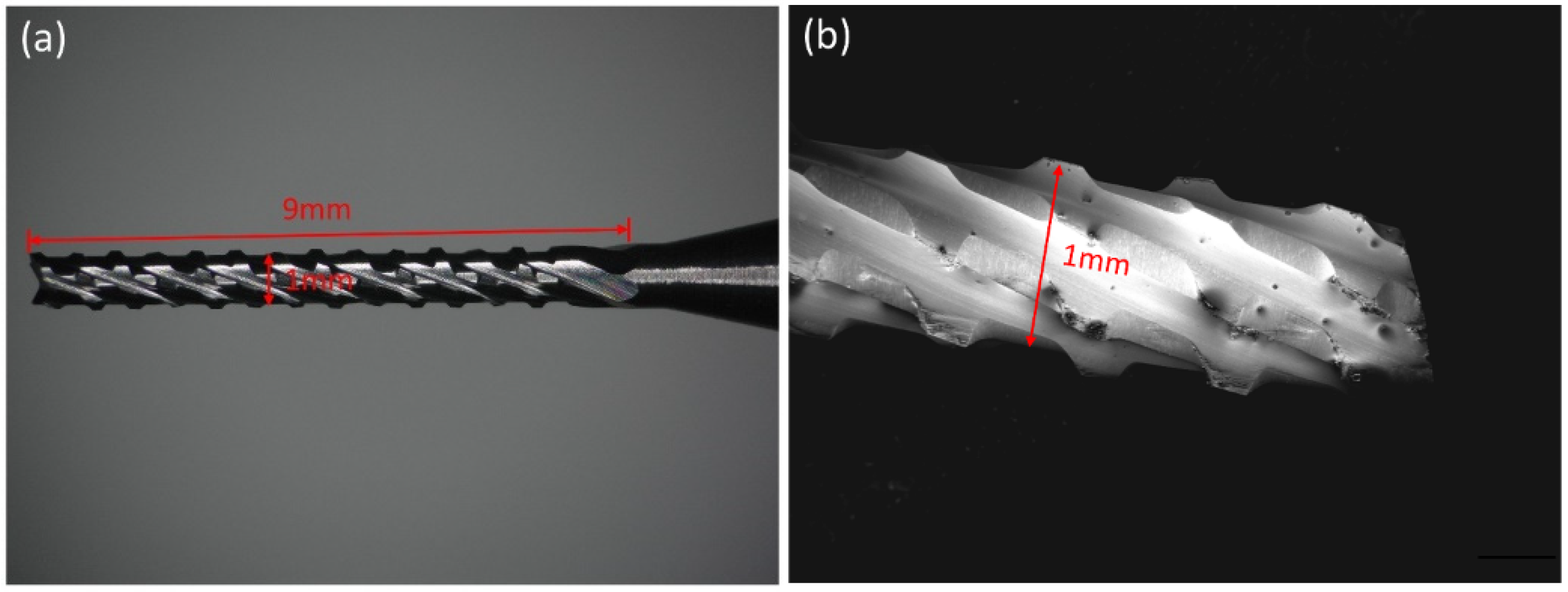 Coatings 12 00556 g001