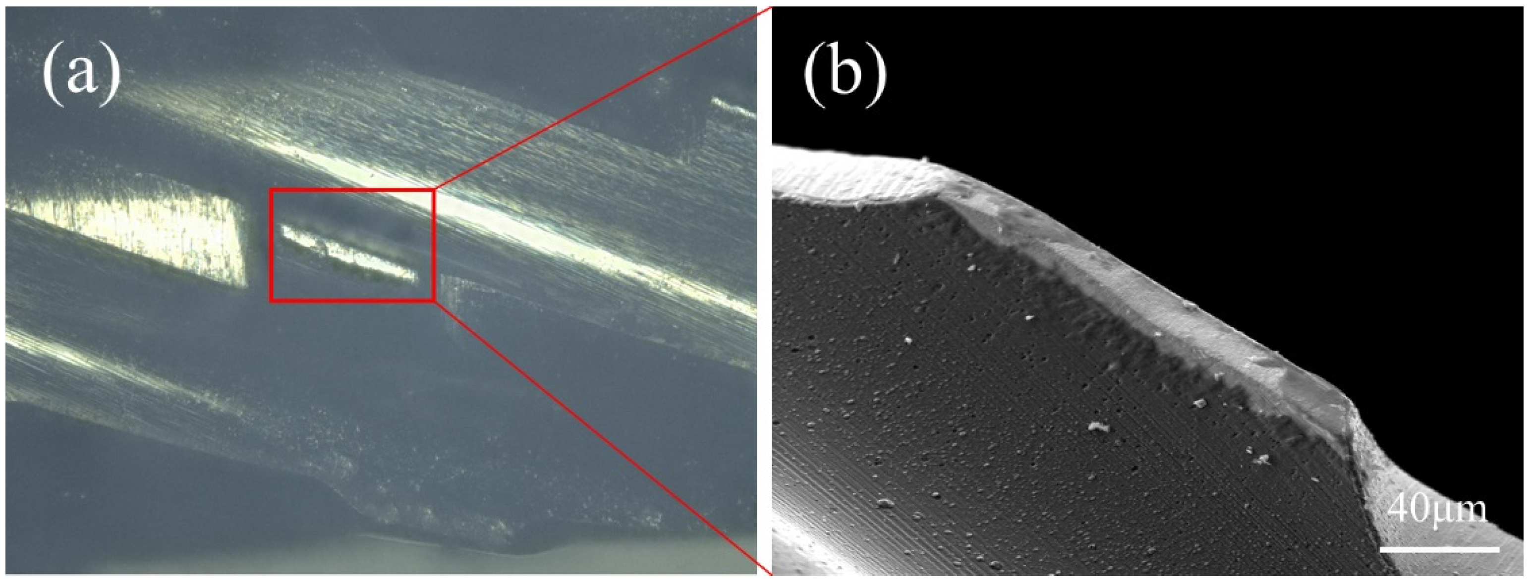 Coatings 12 00556 g003