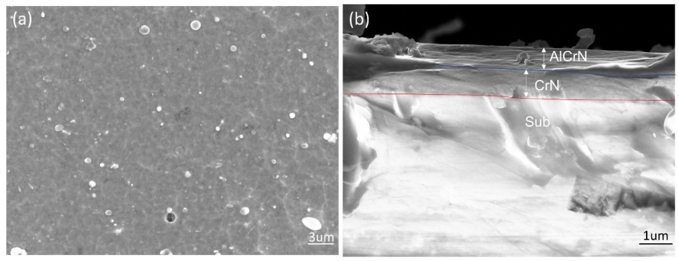 Coatings 12 00556 g004