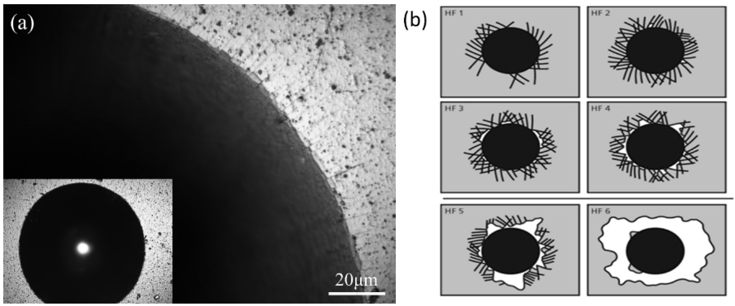 Coatings 12 00556 g009