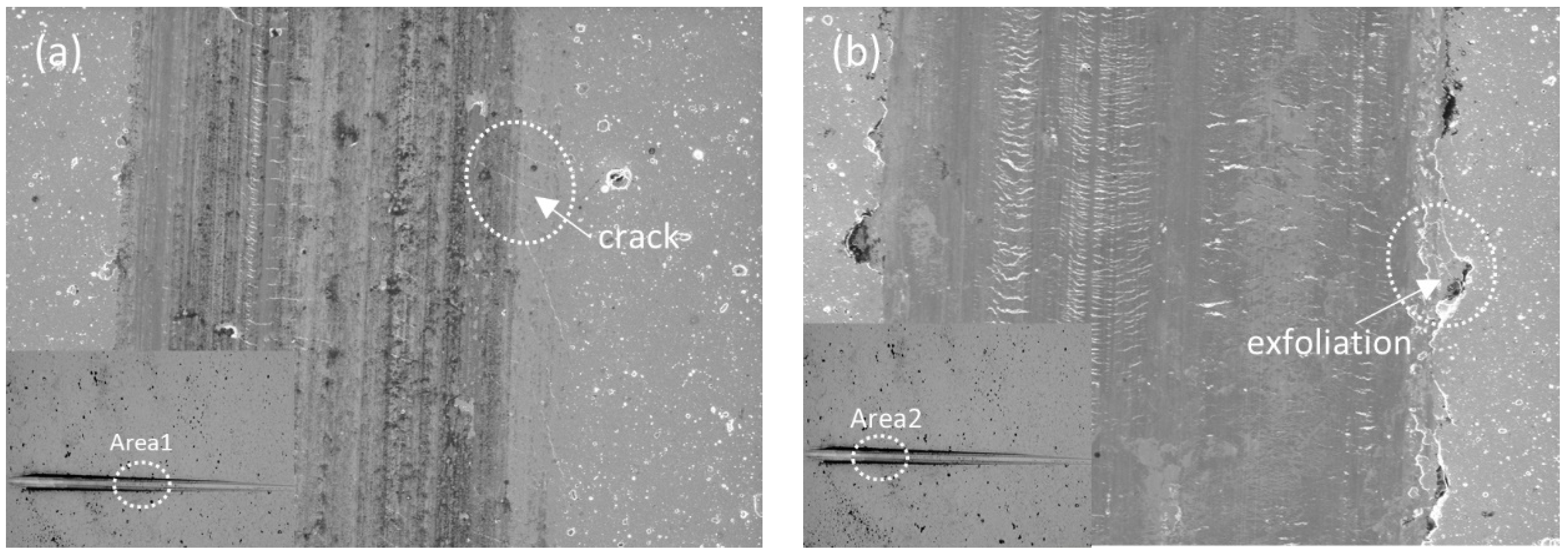 Coatings 12 00556 g011