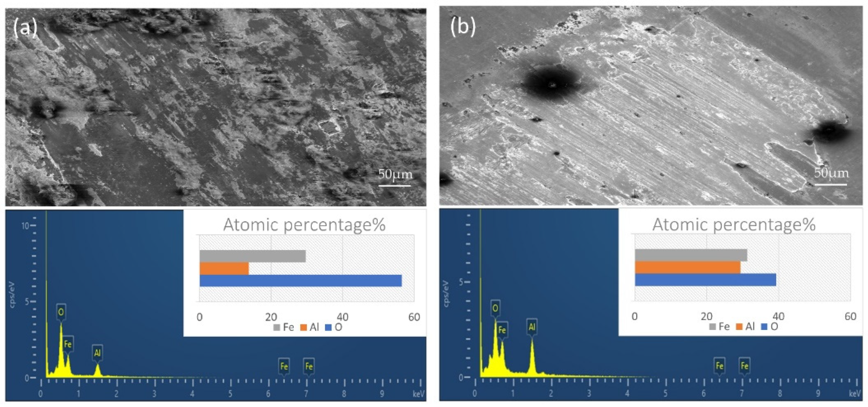 Coatings 12 00556 g013