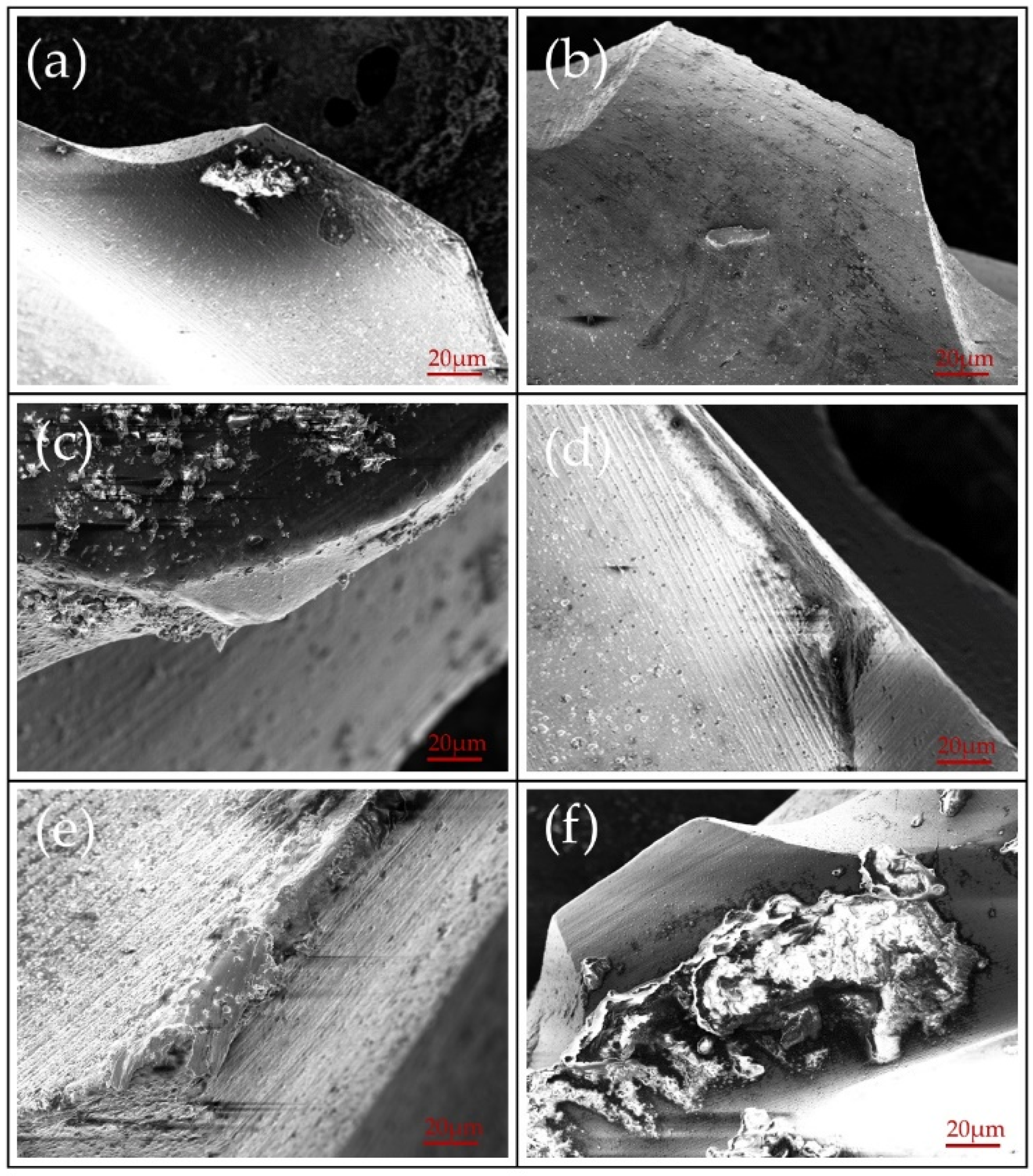 Coatings 12 00556 g017