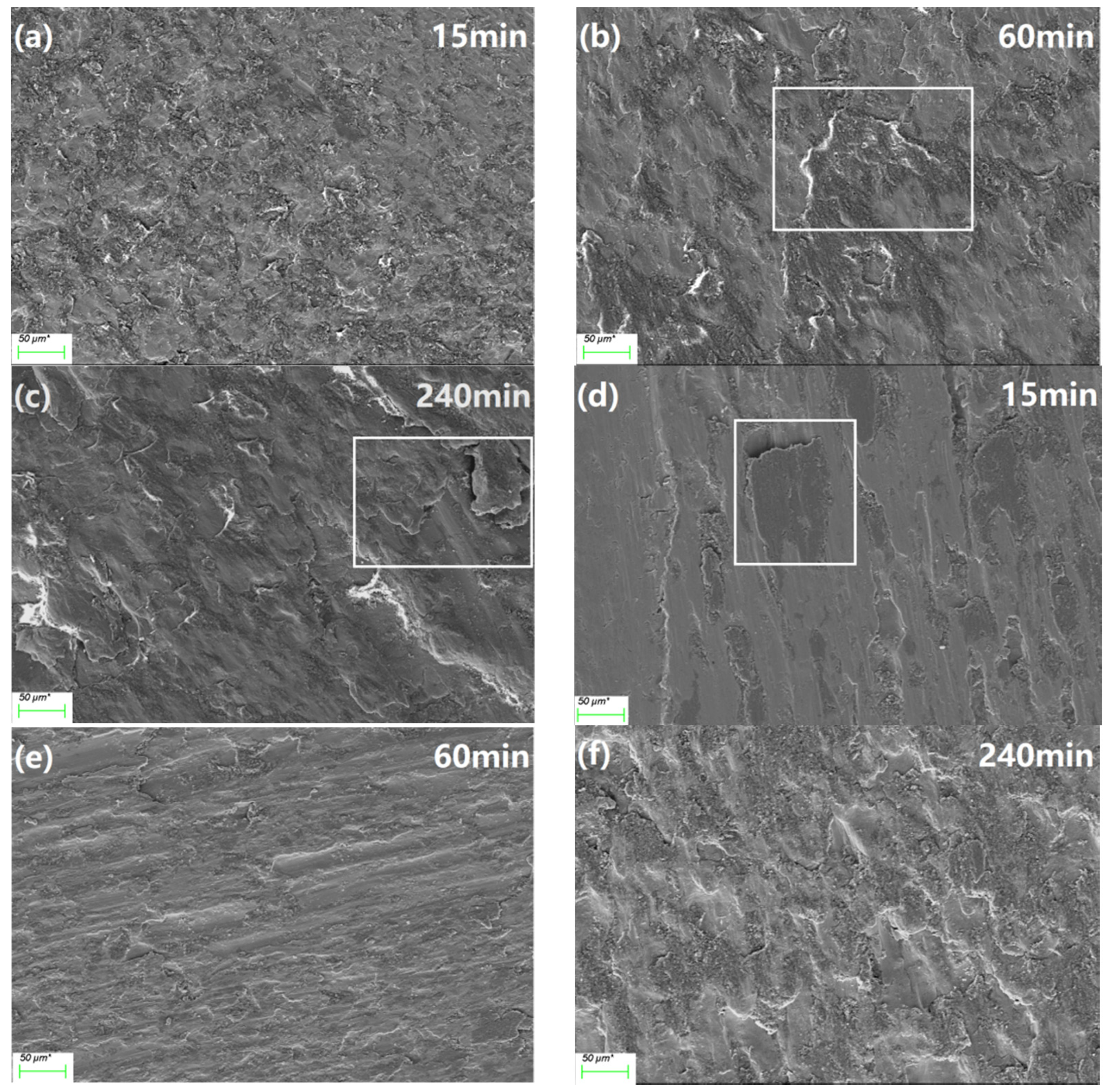 Coatings 12 00557 g004