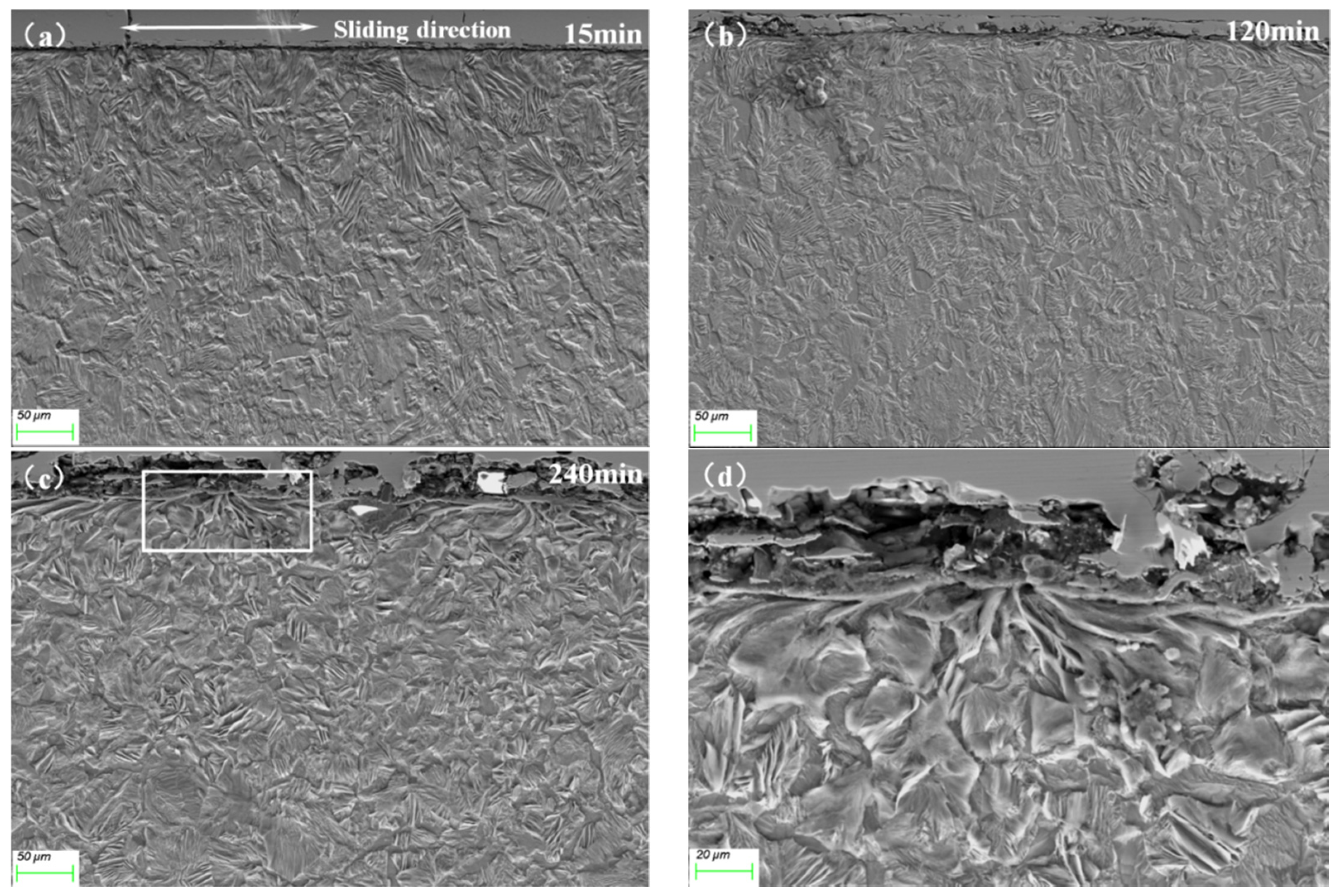 Coatings 12 00557 g007