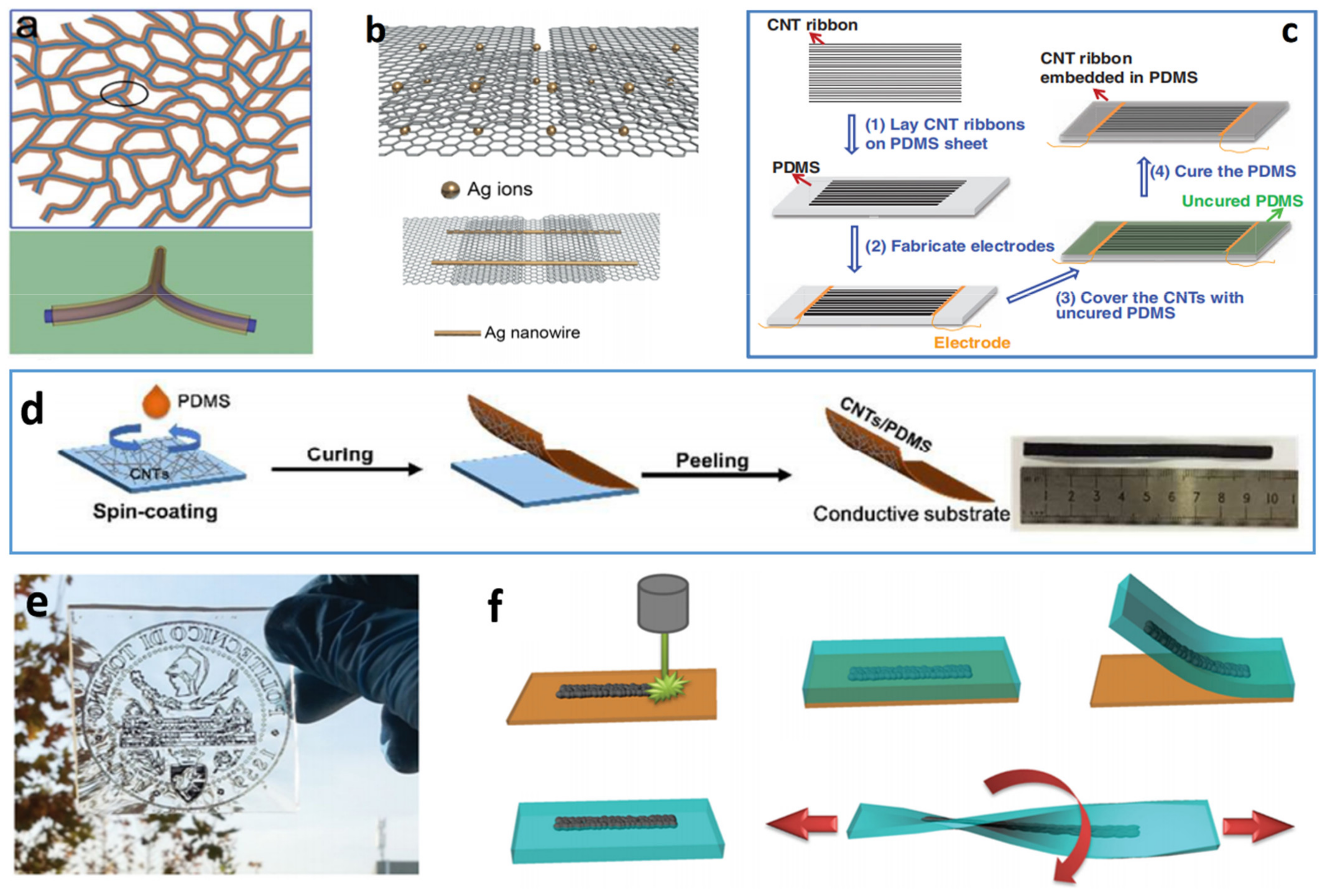 Coatings 12 00558 g004 550