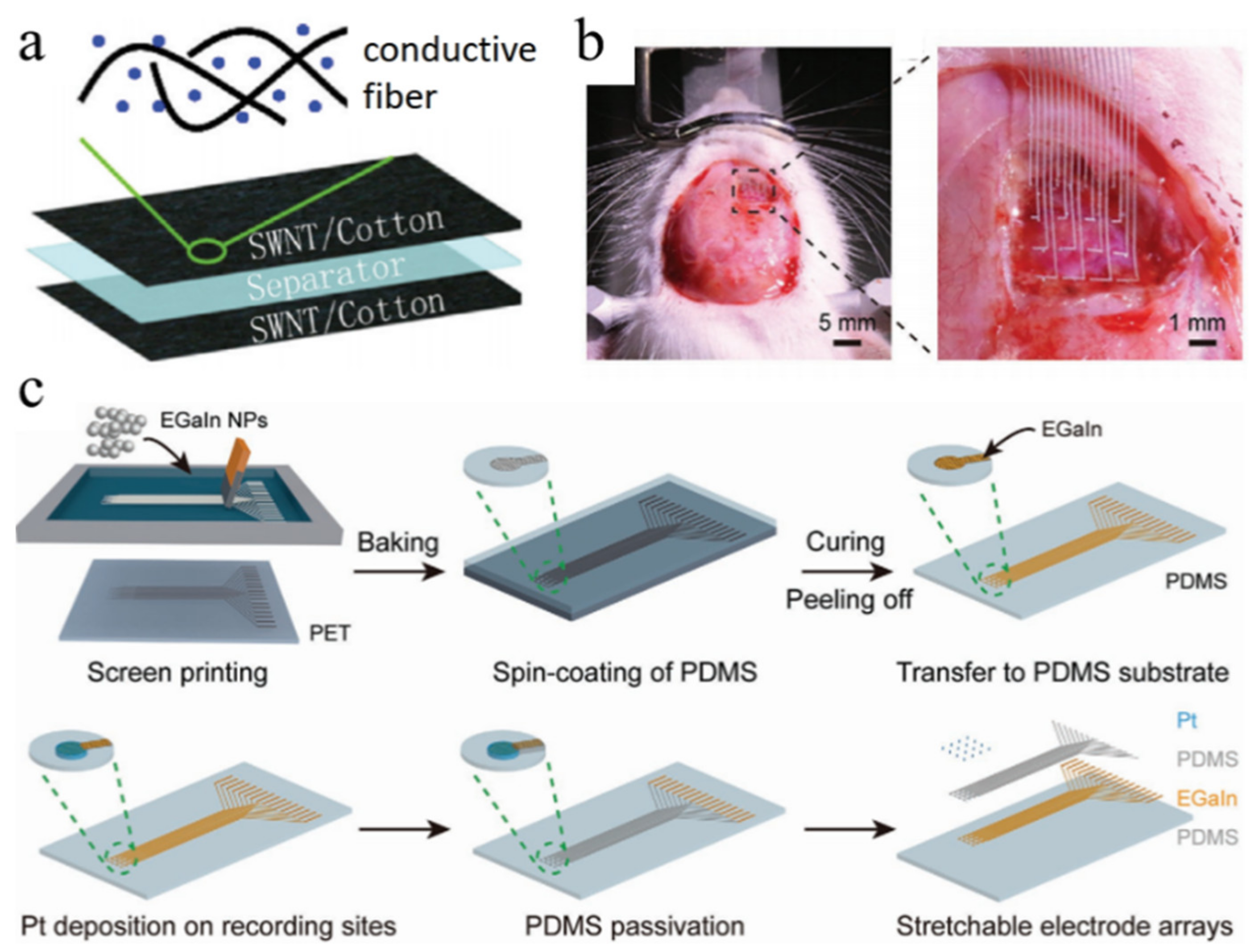 Coatings 12 00558 g006 550