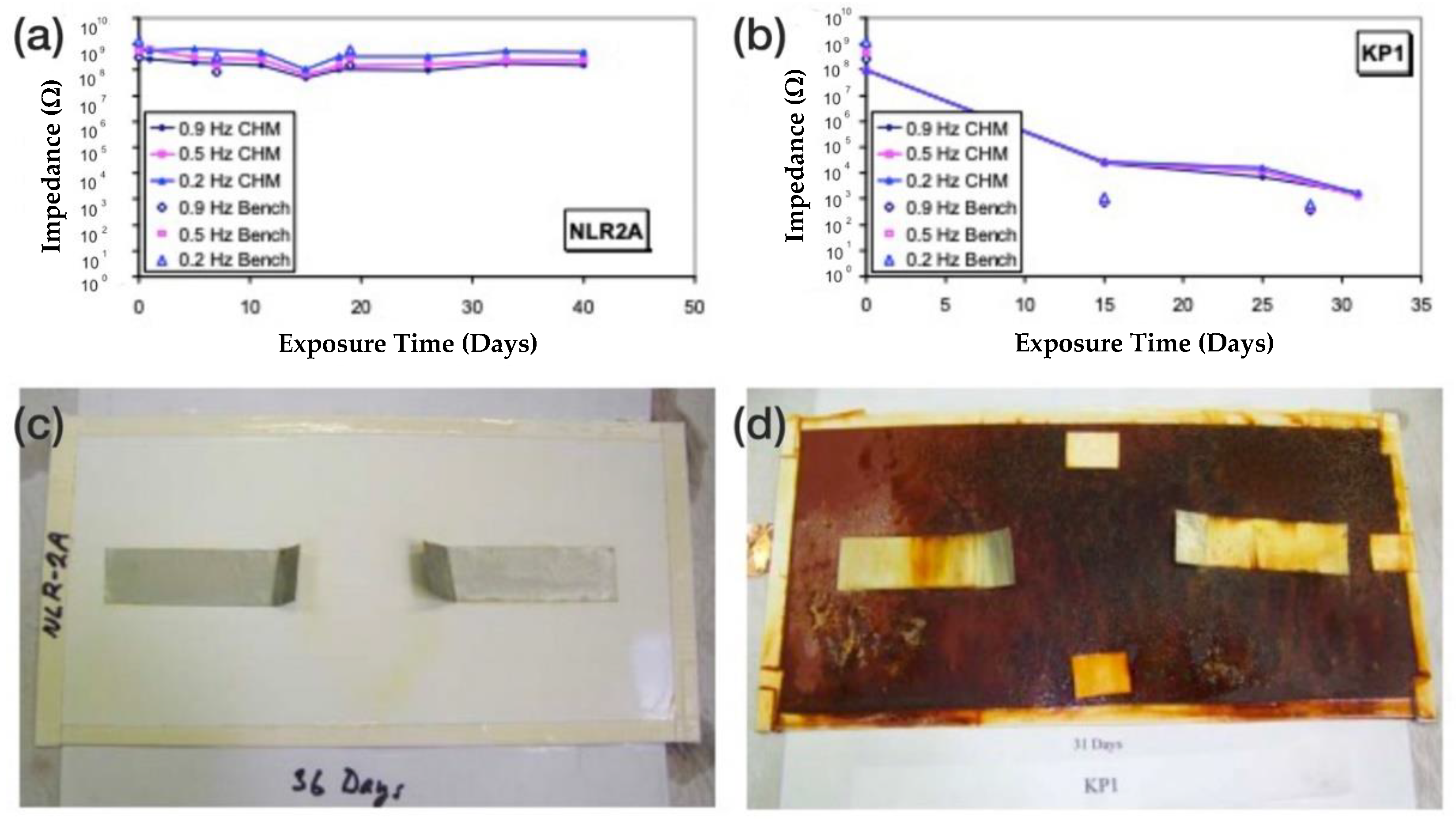 Coatings 12 00565 g006 550