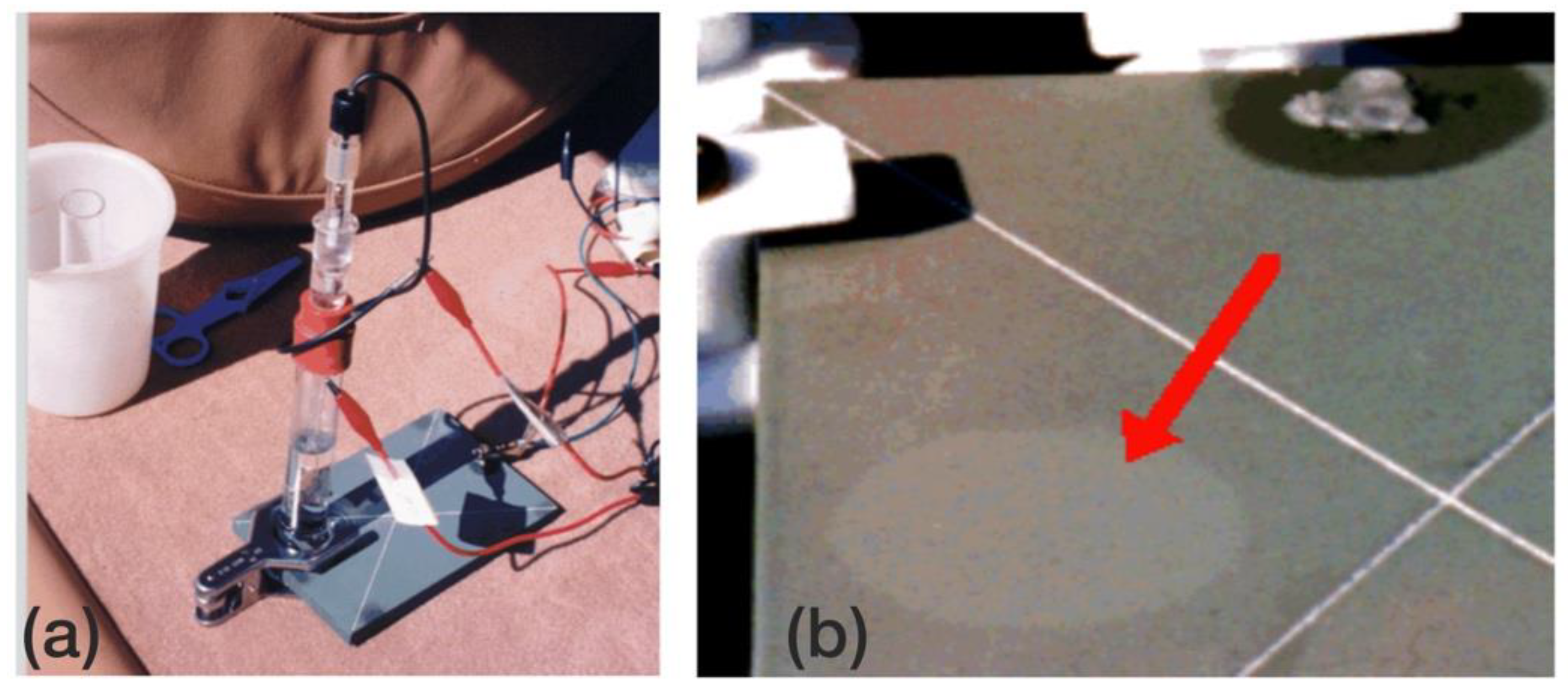 Coatings 12 00565 g007 550