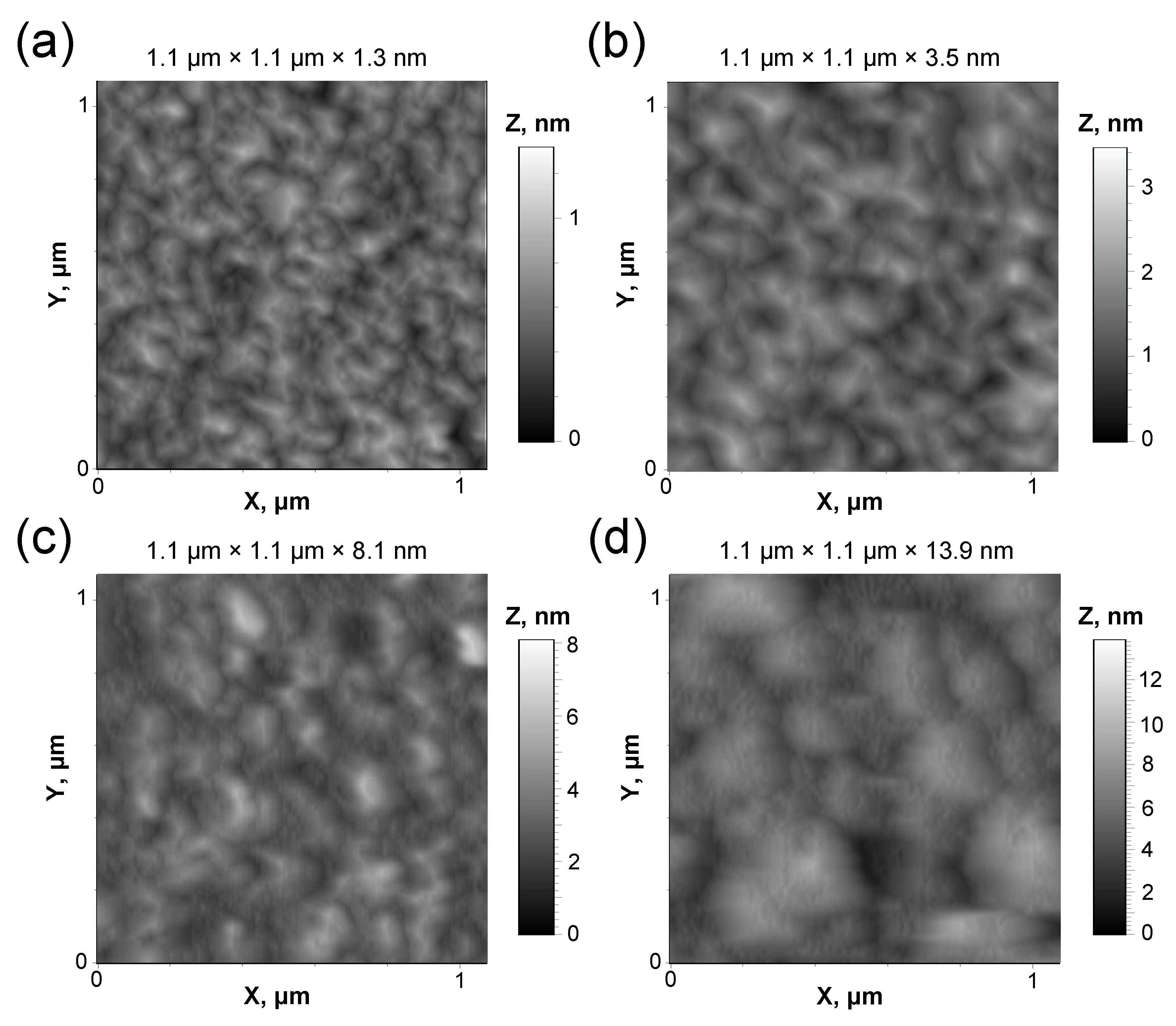 お歳暮・冬ギフト特集 2024 人気ランキング Structural and Nitrogen-Doped of Peculiarities Chemical リップグロス