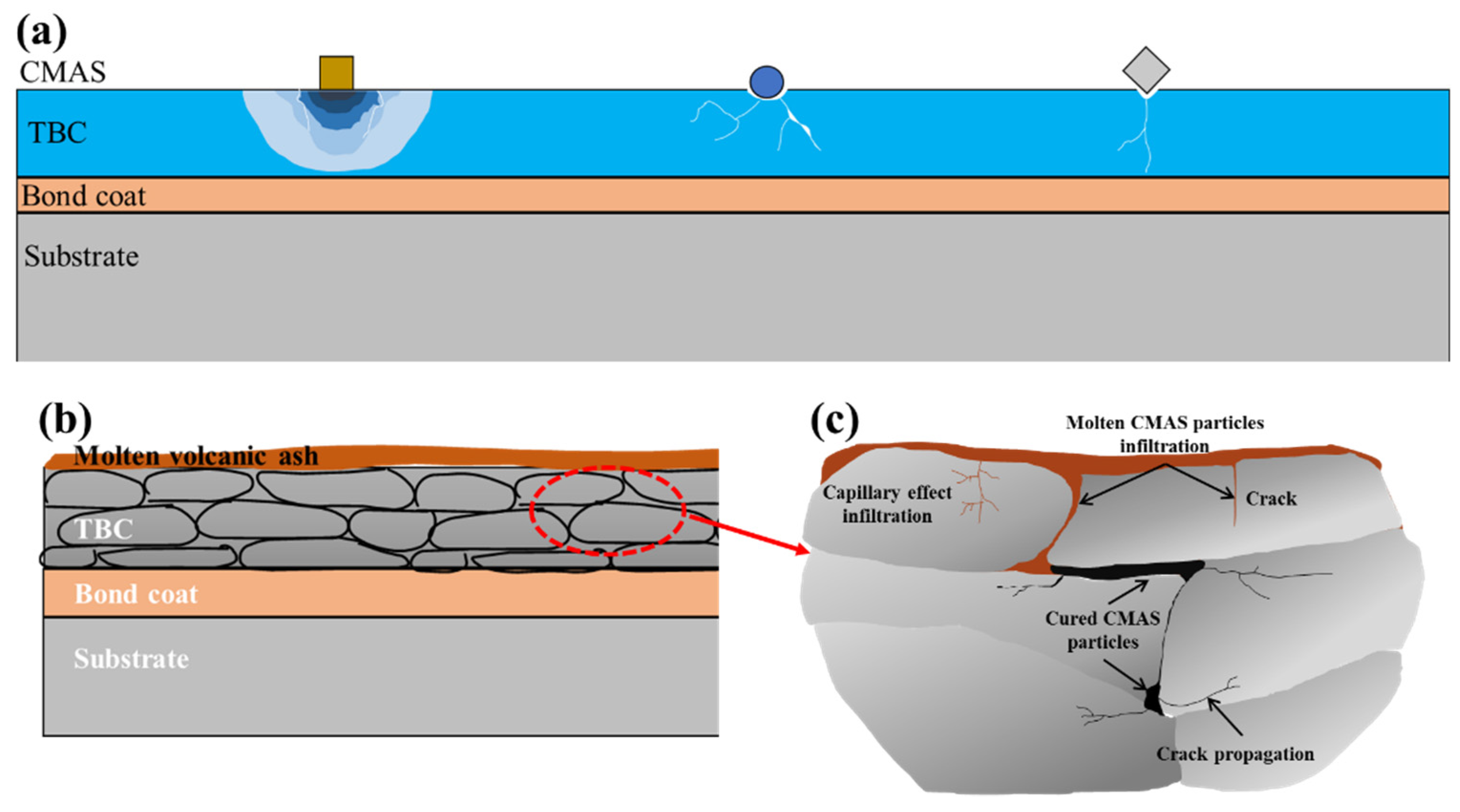 Coatings 12 00576 g013 550