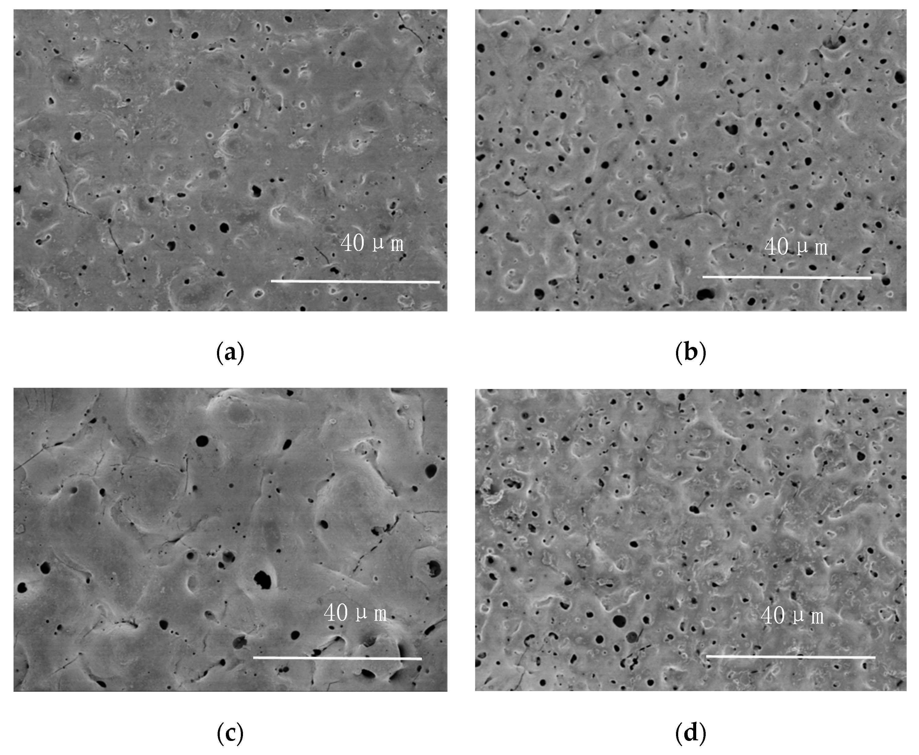 Coatings 12 00578 g007