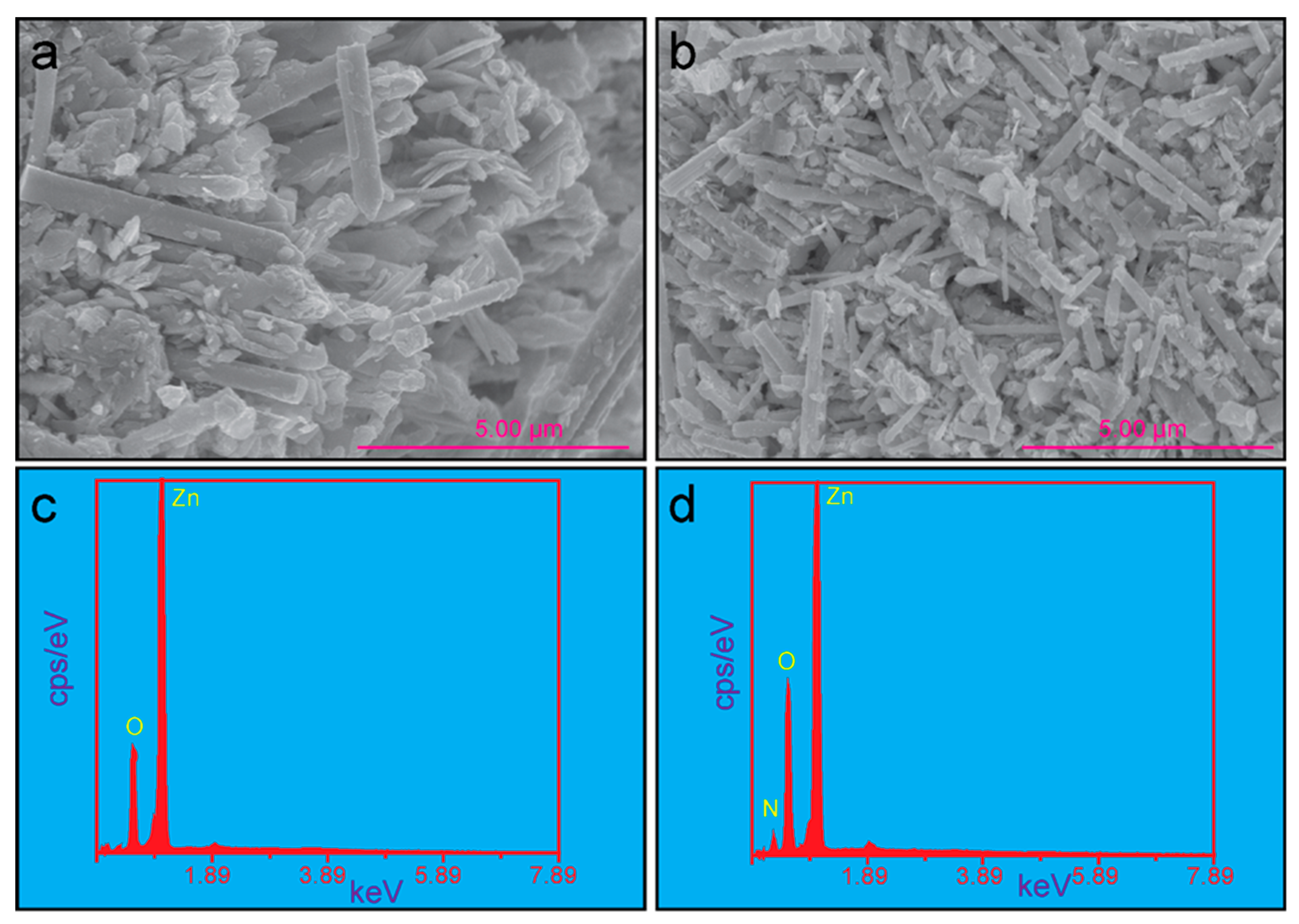 Coatings 12 00579 g003 550