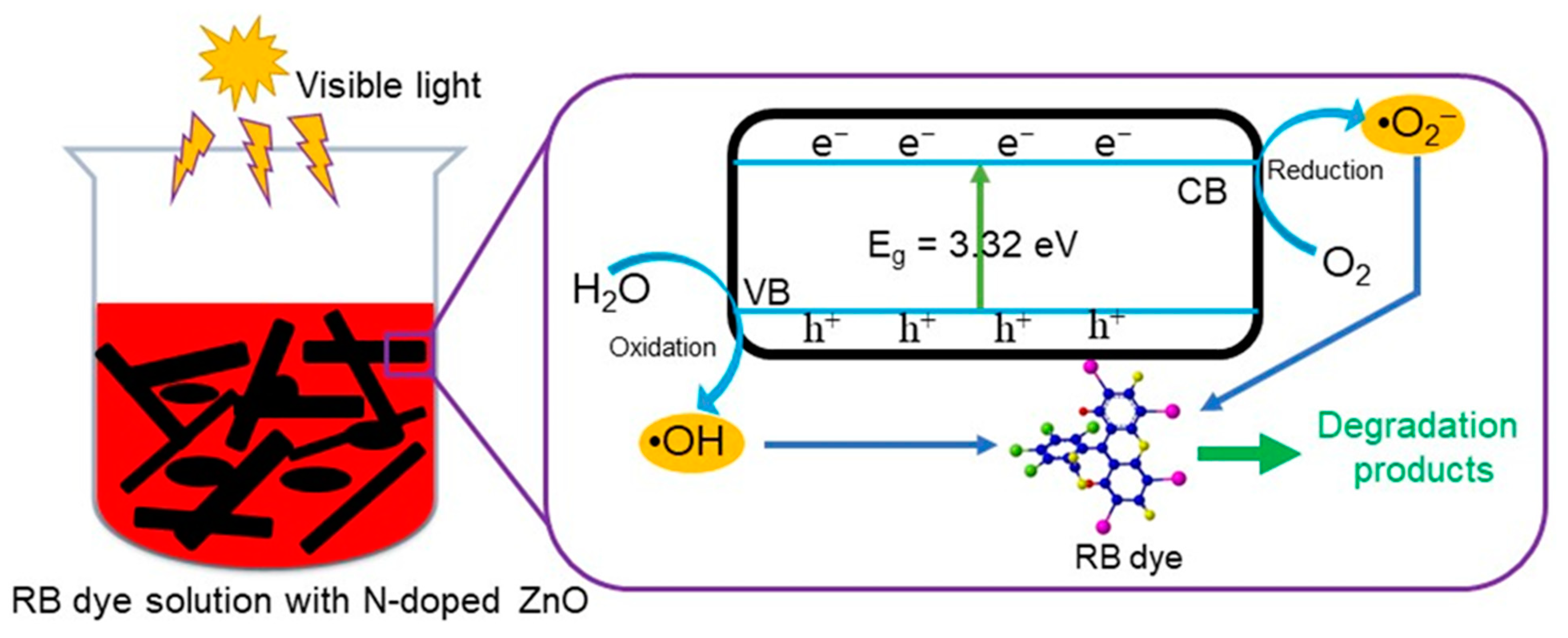 Coatings 12 00579 g008 550