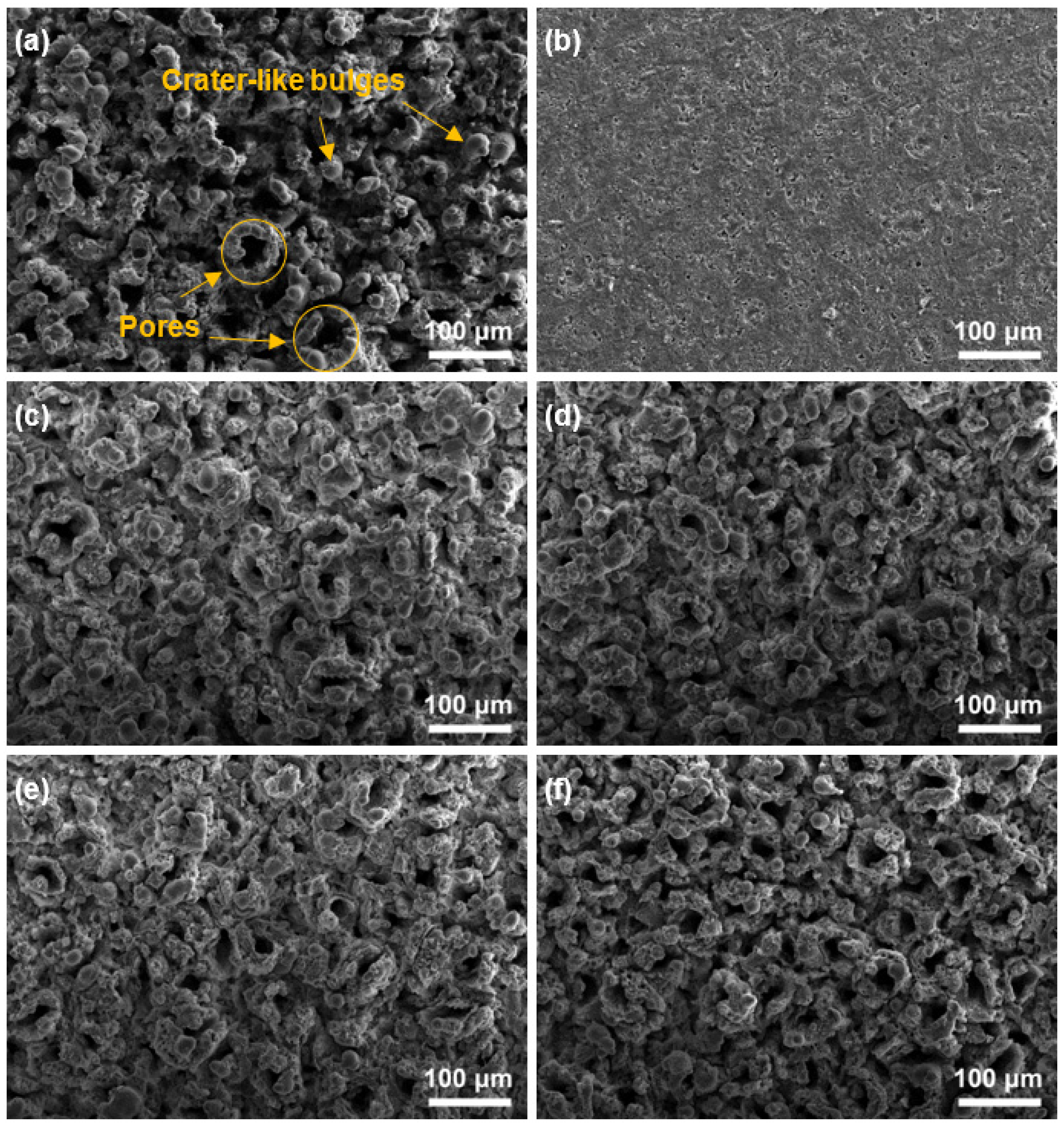 Coatings 12 00580 g004 550
