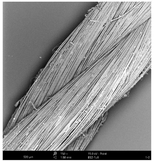Coatings Free FullText Mechanical Properties Evolution and Damage