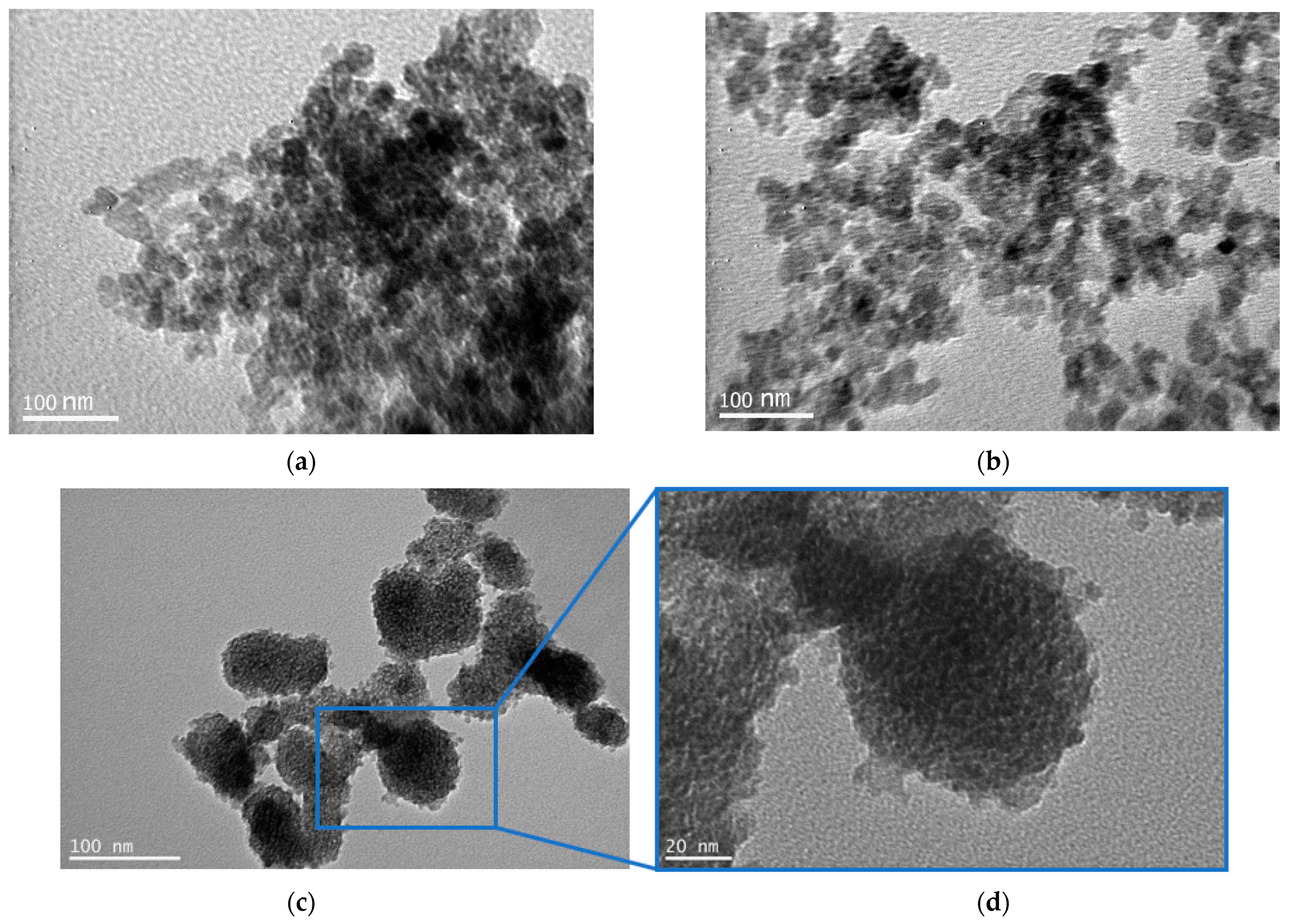 Coatings 12 00587 g004