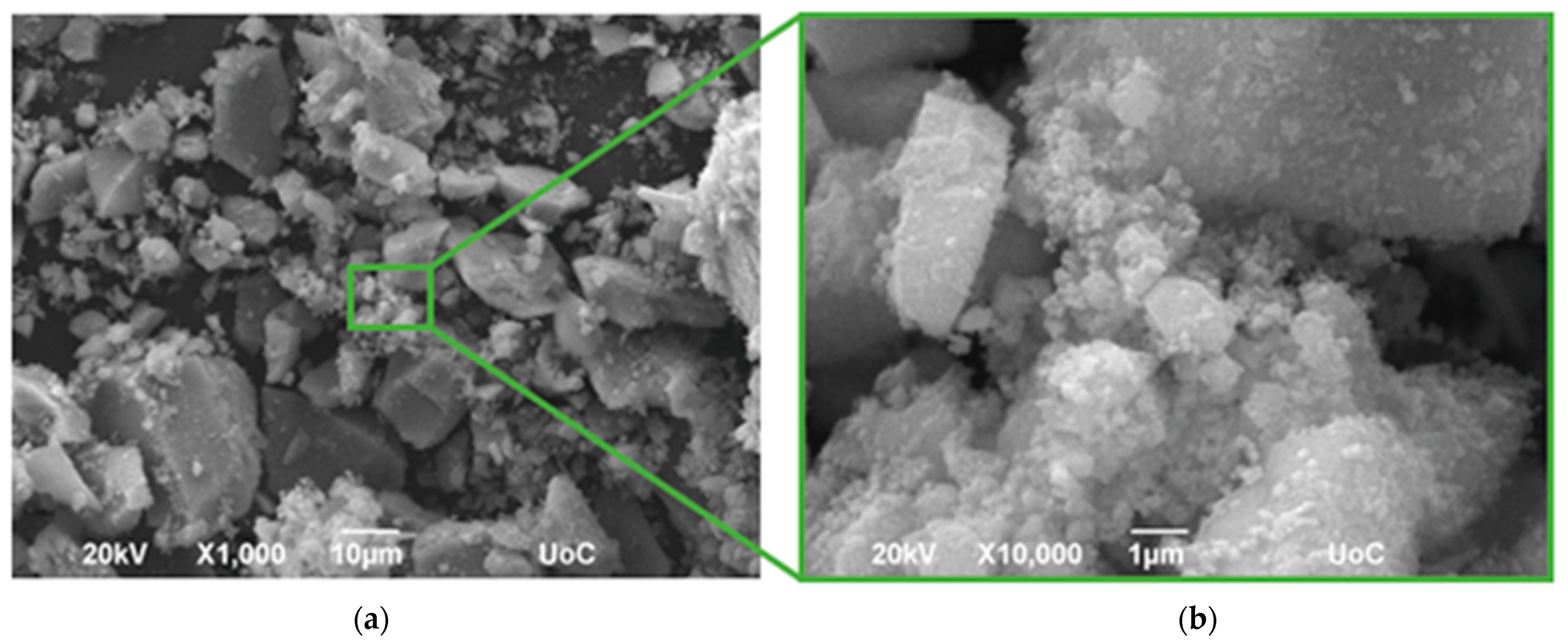 Coatings 12 00587 g005a