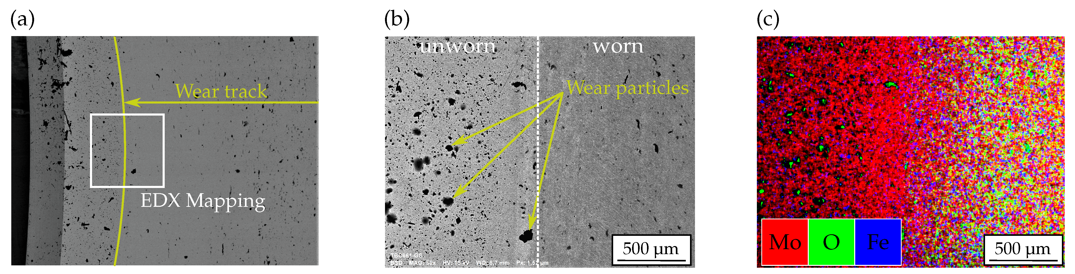 Coatings 12 00591 g007 550