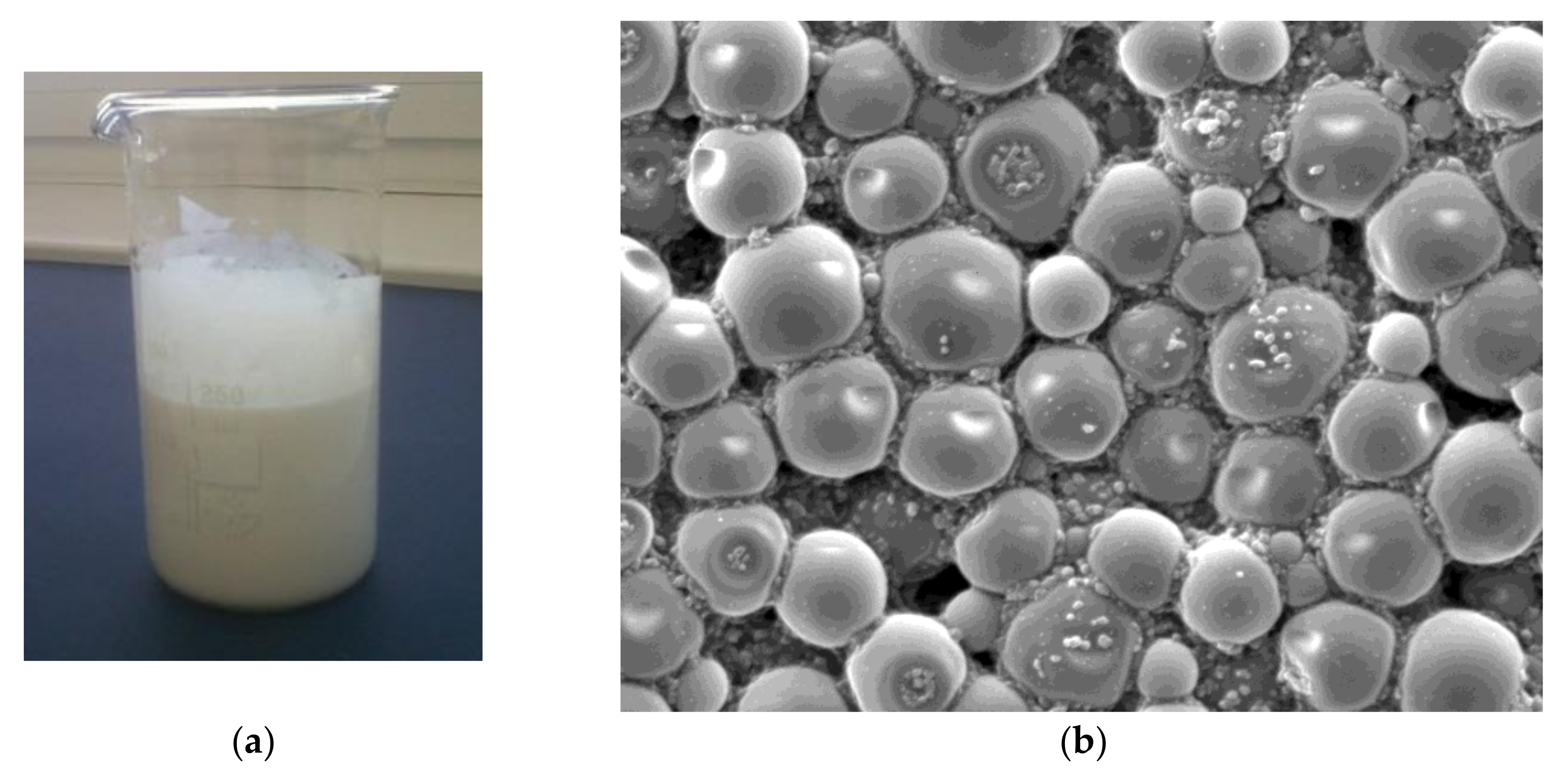 Coatings 12 00593 g001 550