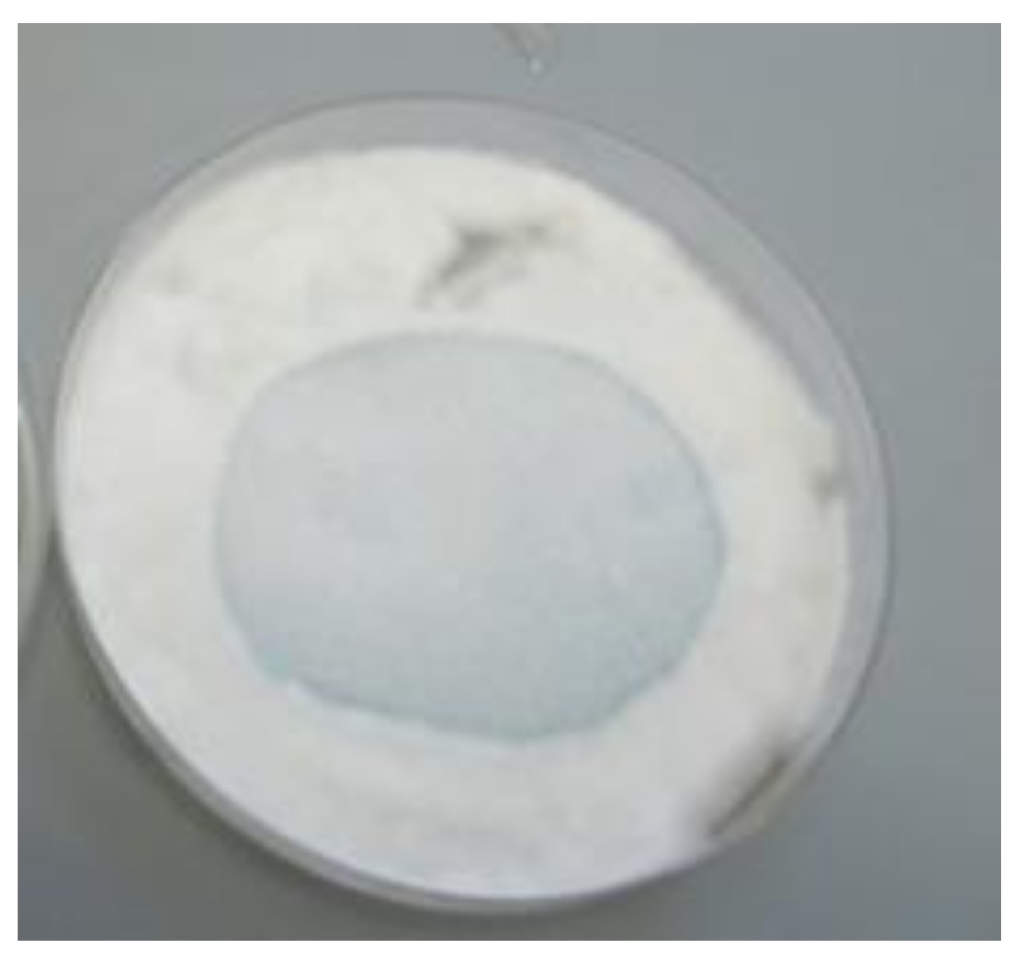 Coatings 12 00593 g008 550