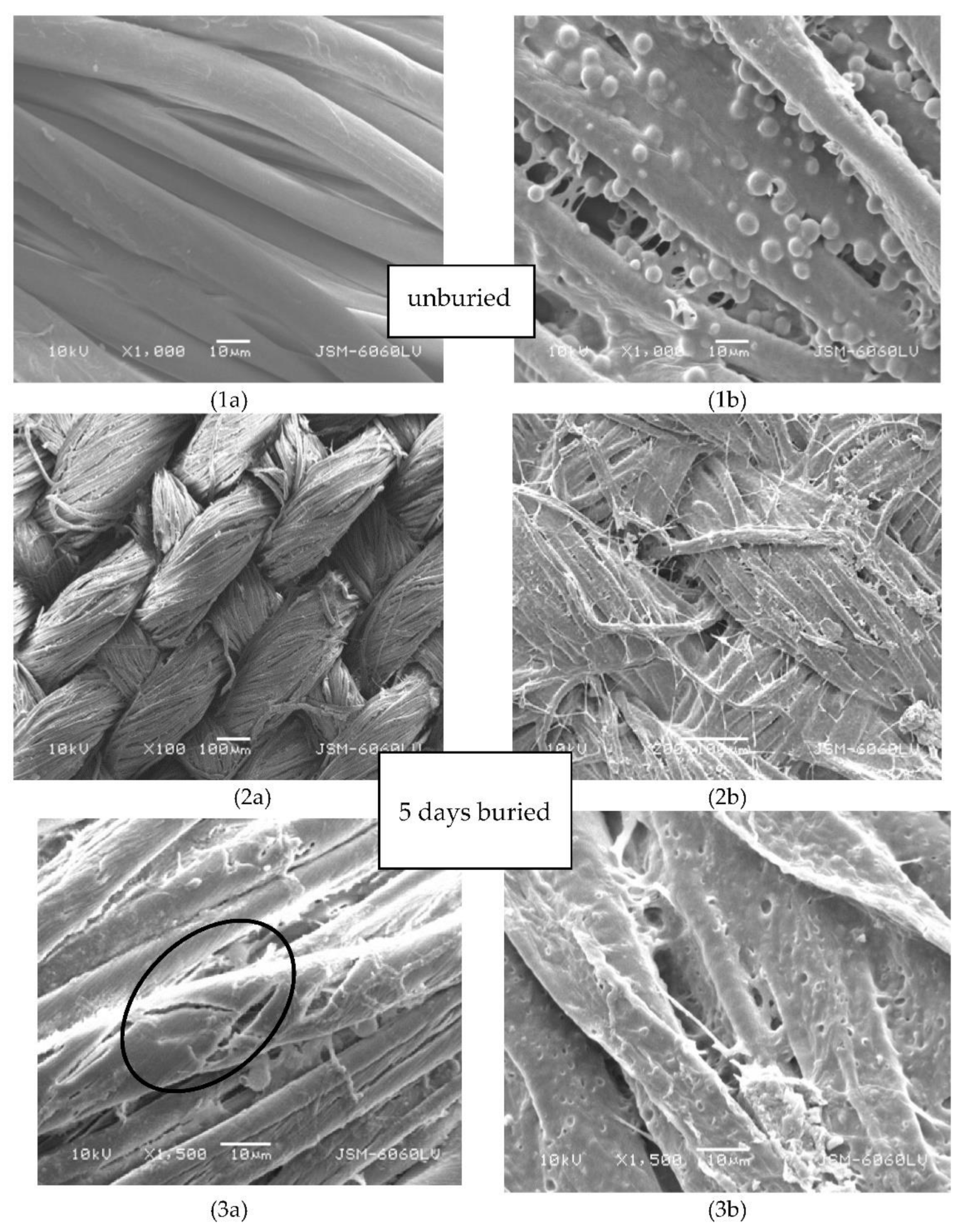 Coatings 12 00593 g009 550