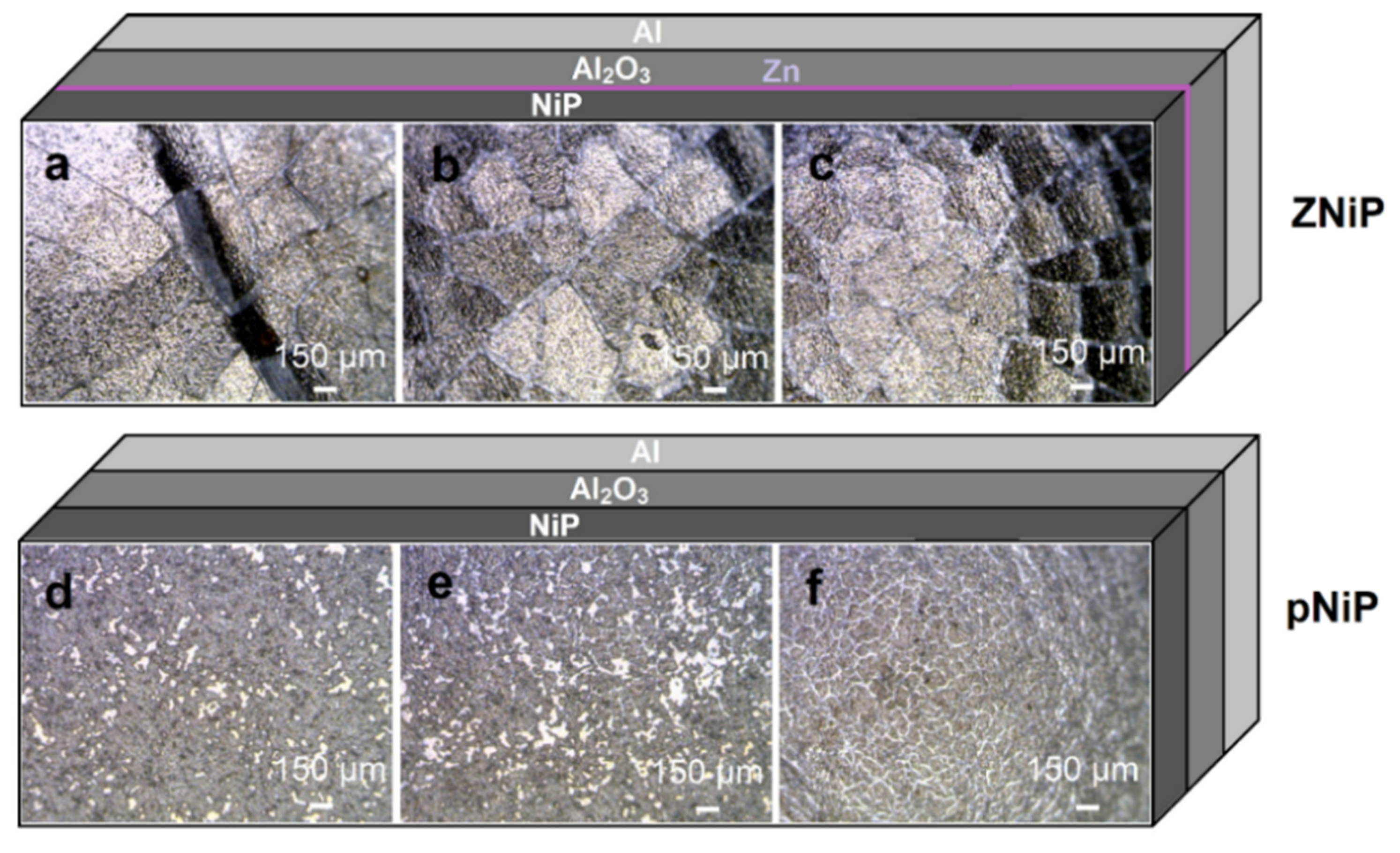 Coatings 12 00594 g002