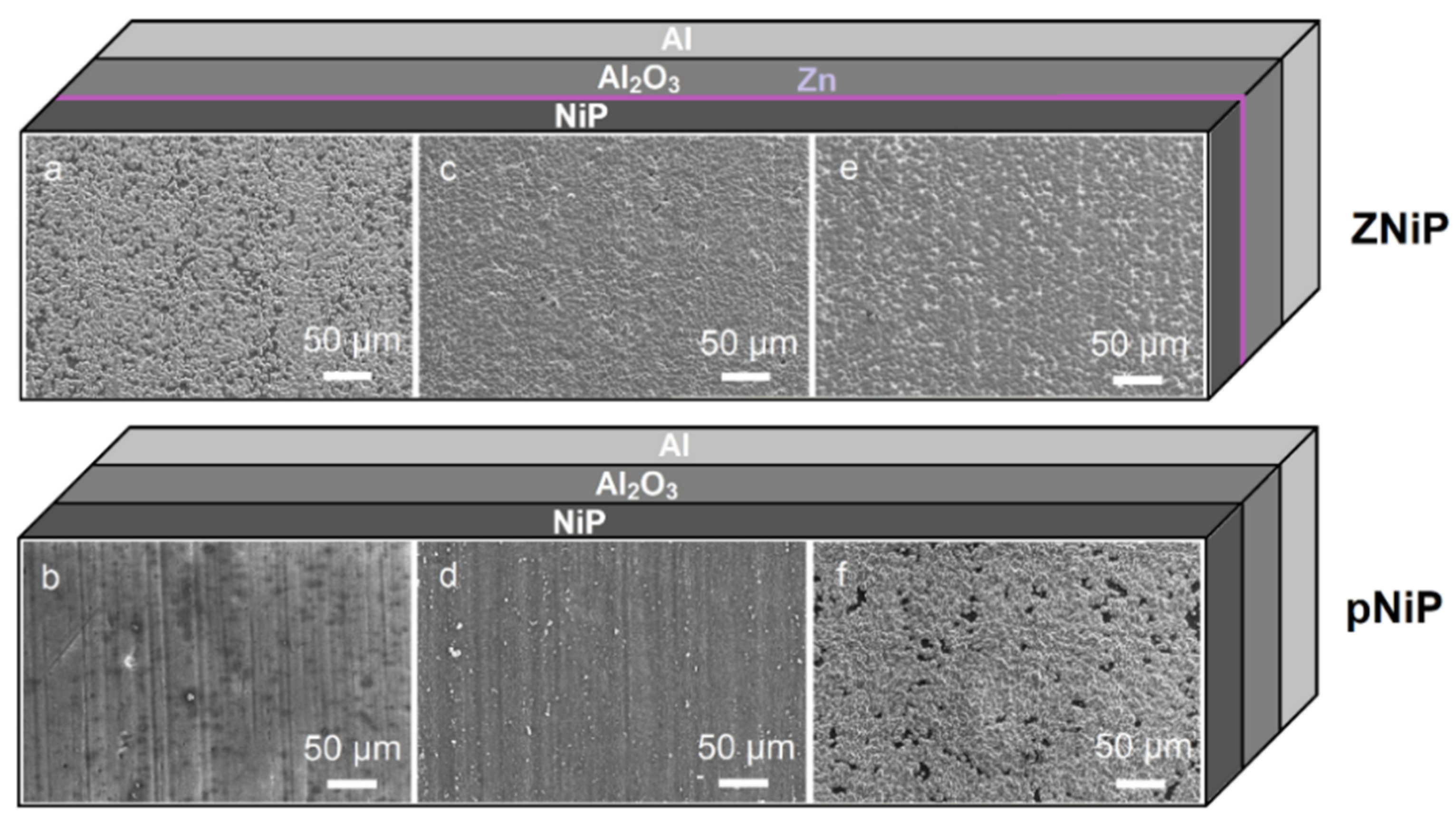 Coatings 12 00594 g003