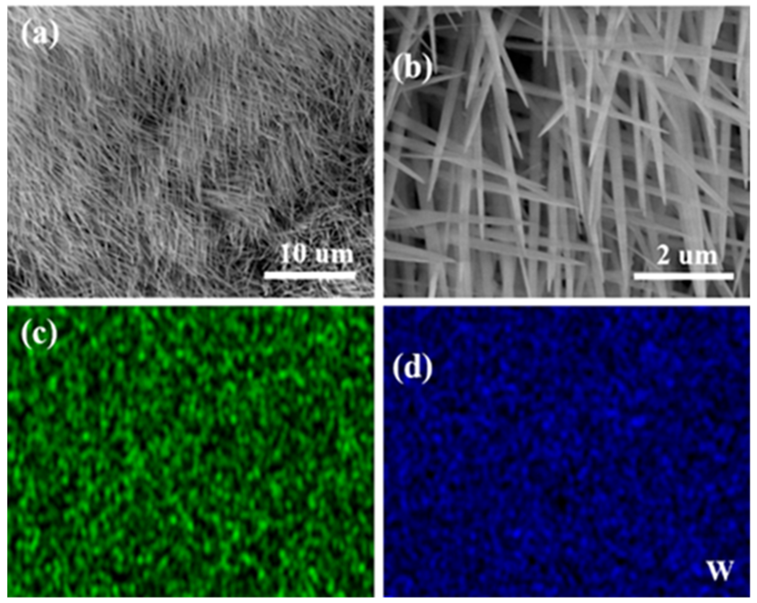Coatings 12 00595 g002 Coatings 12 00595 g002