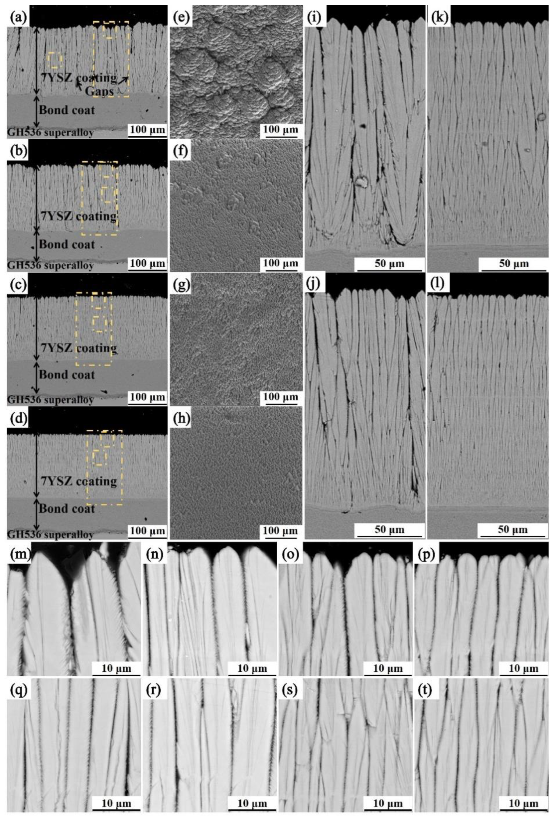 Coatings 12 00596 g002