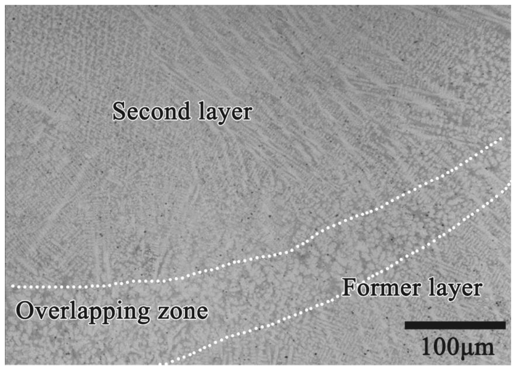Coatings 12 00603 g005
