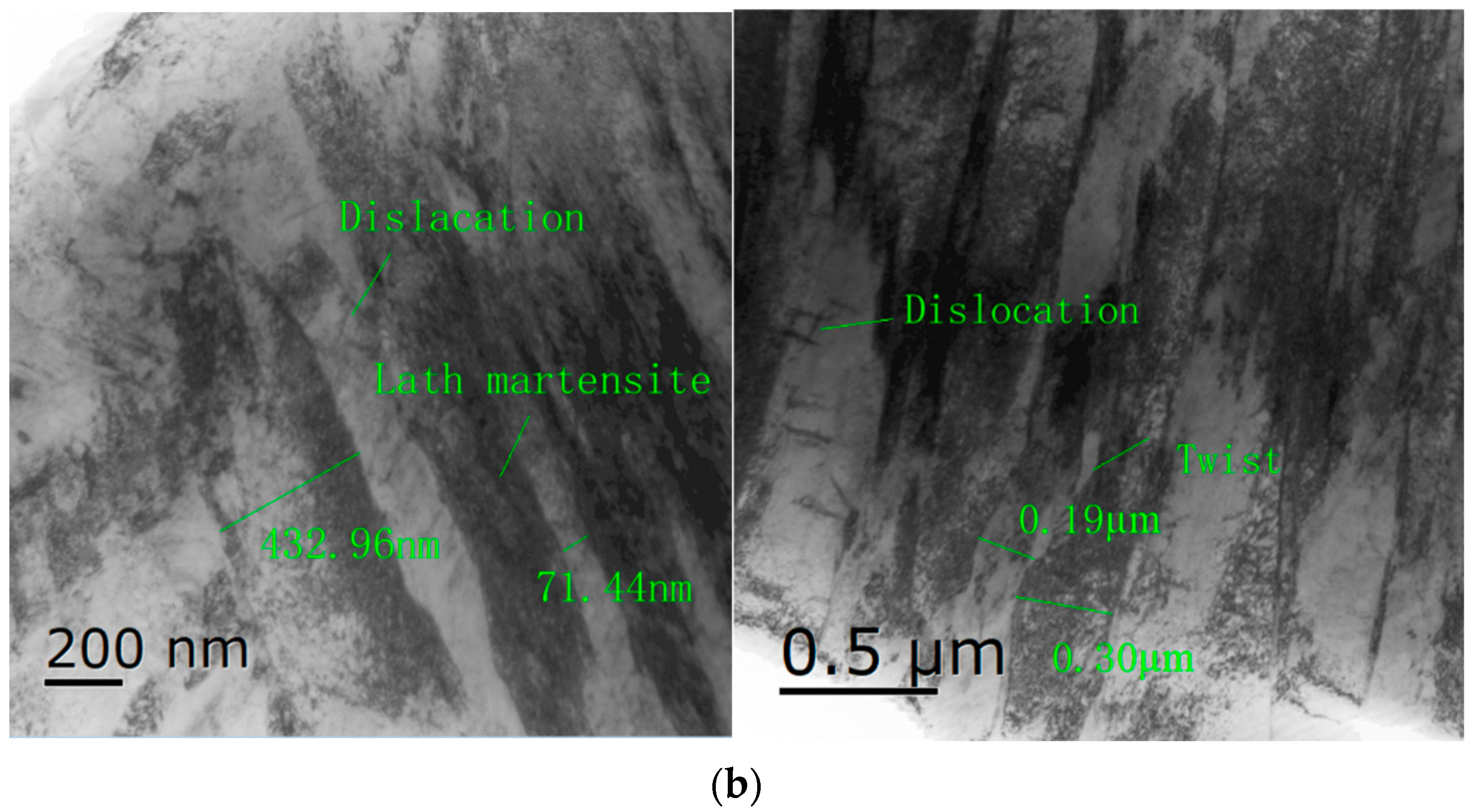 Coatings 12 00604 g002b