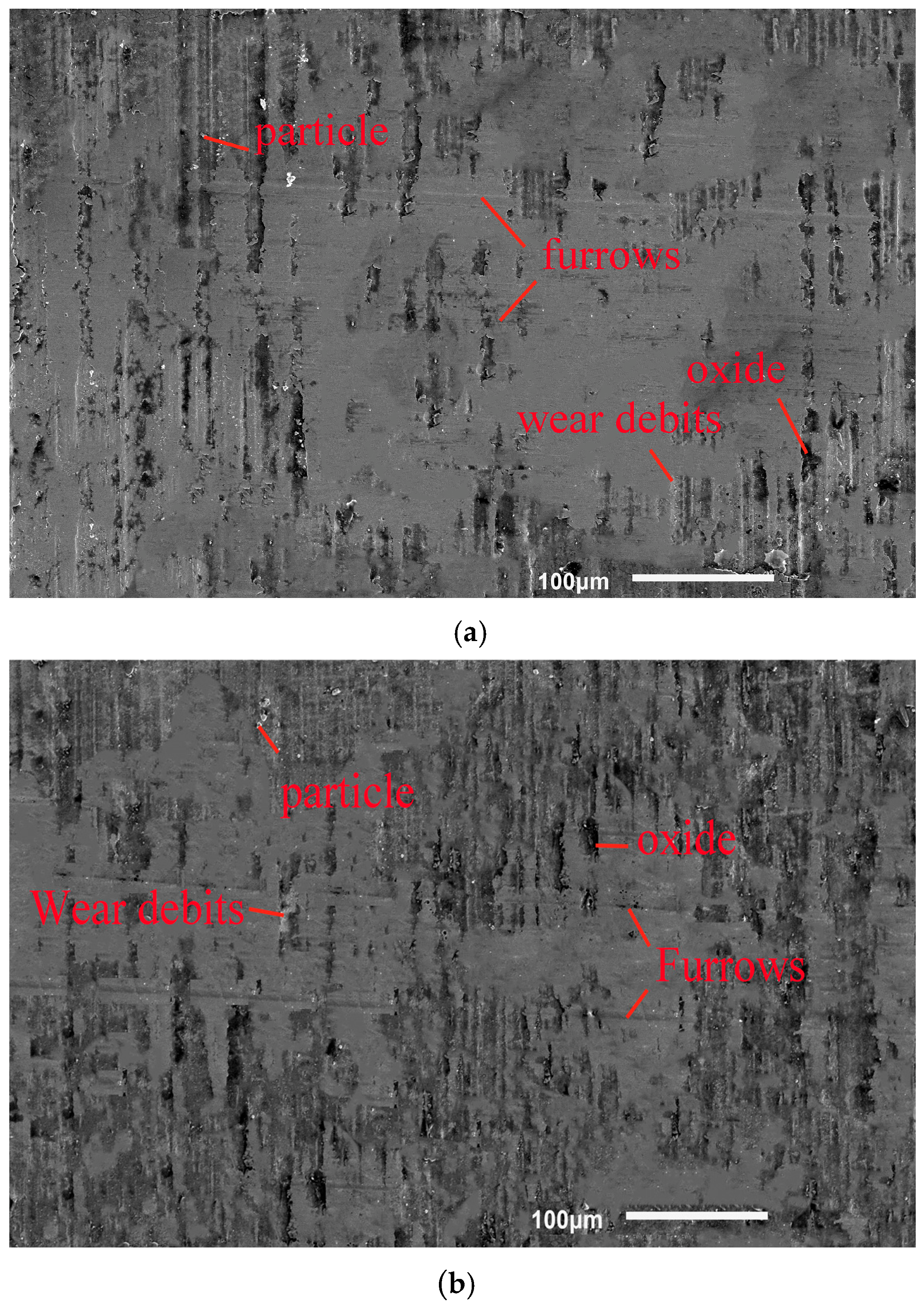 Coatings 12 00604 g011