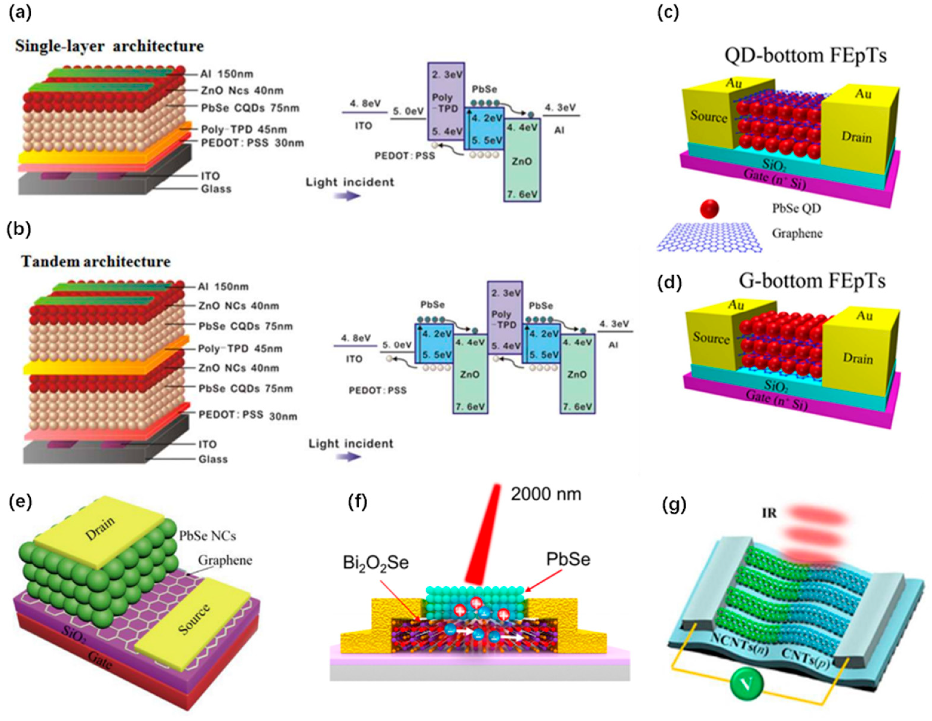 Coatings 12 00609 g006