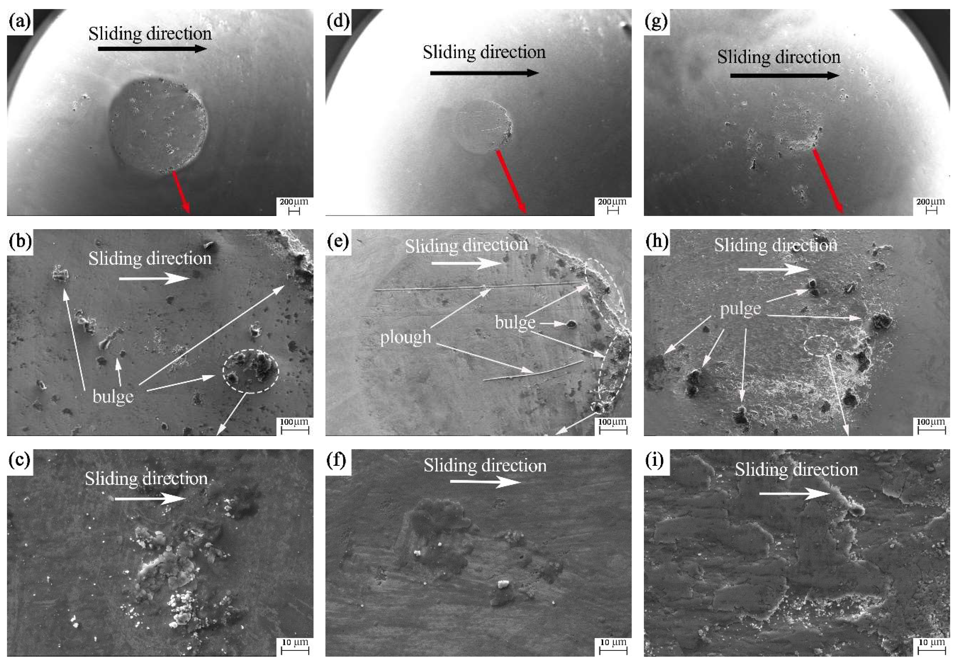 Coatings 12 00611 g010 550