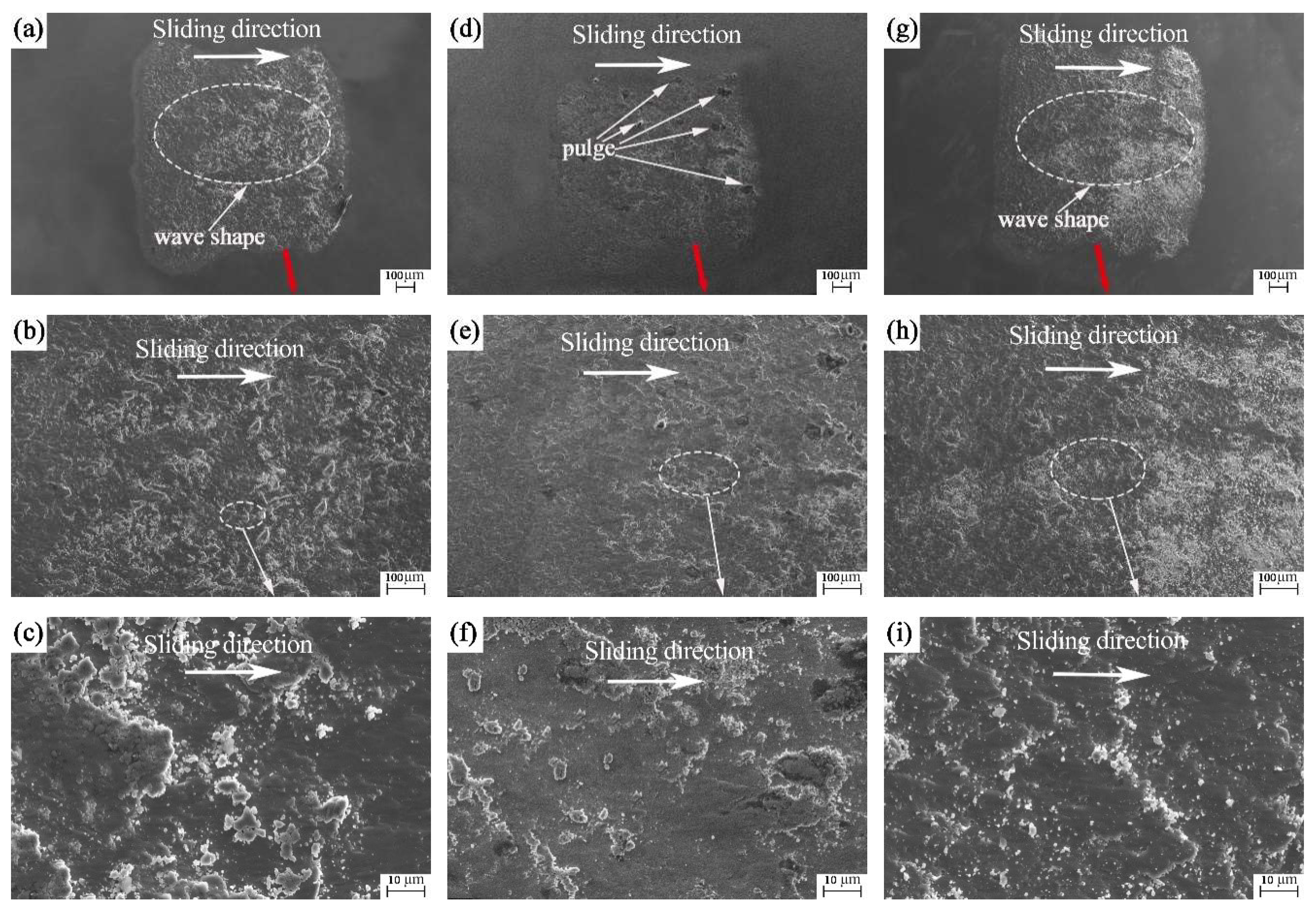 Coatings 12 00611 g014 550
