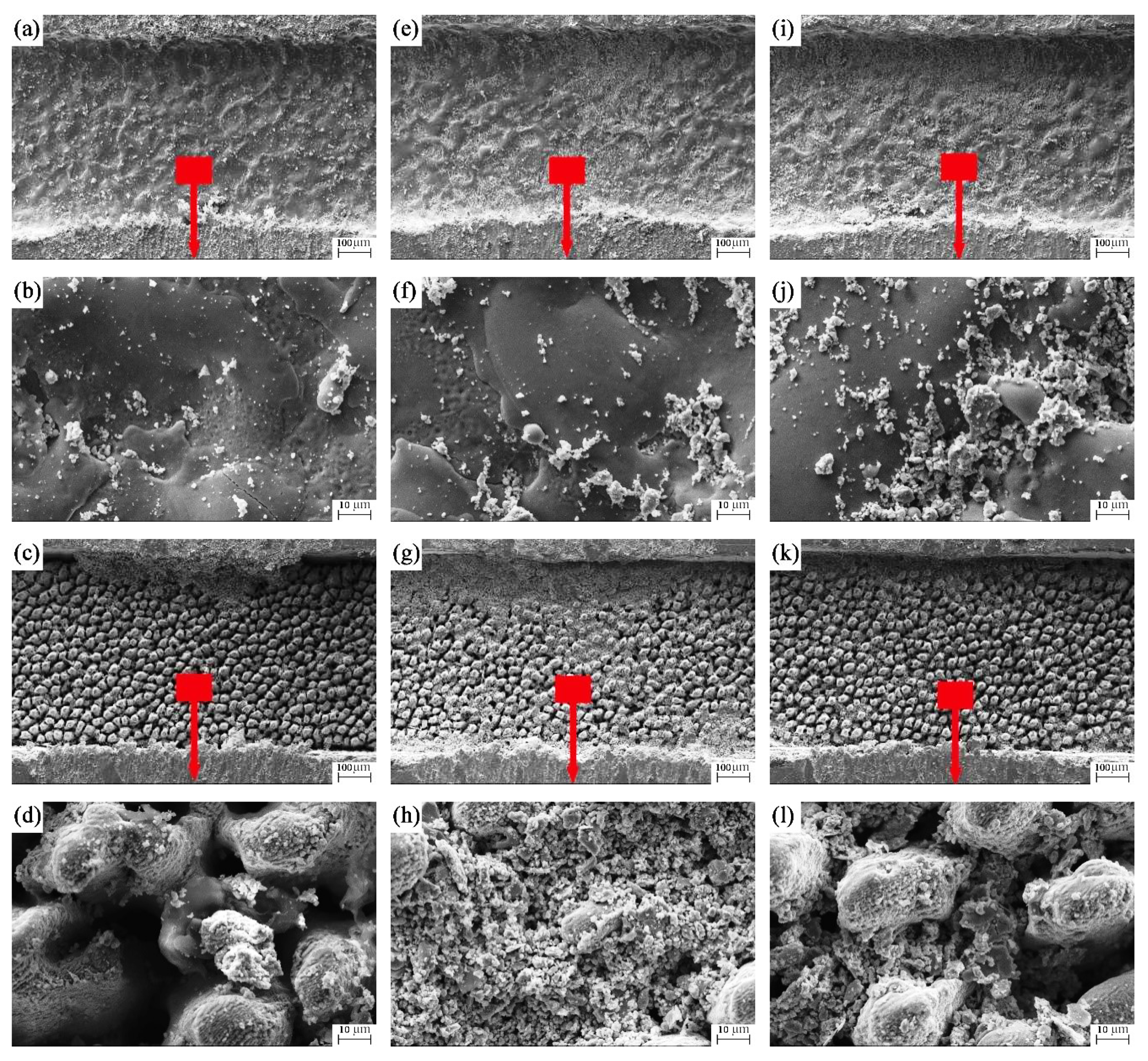 Coatings 12 00611 g015 550