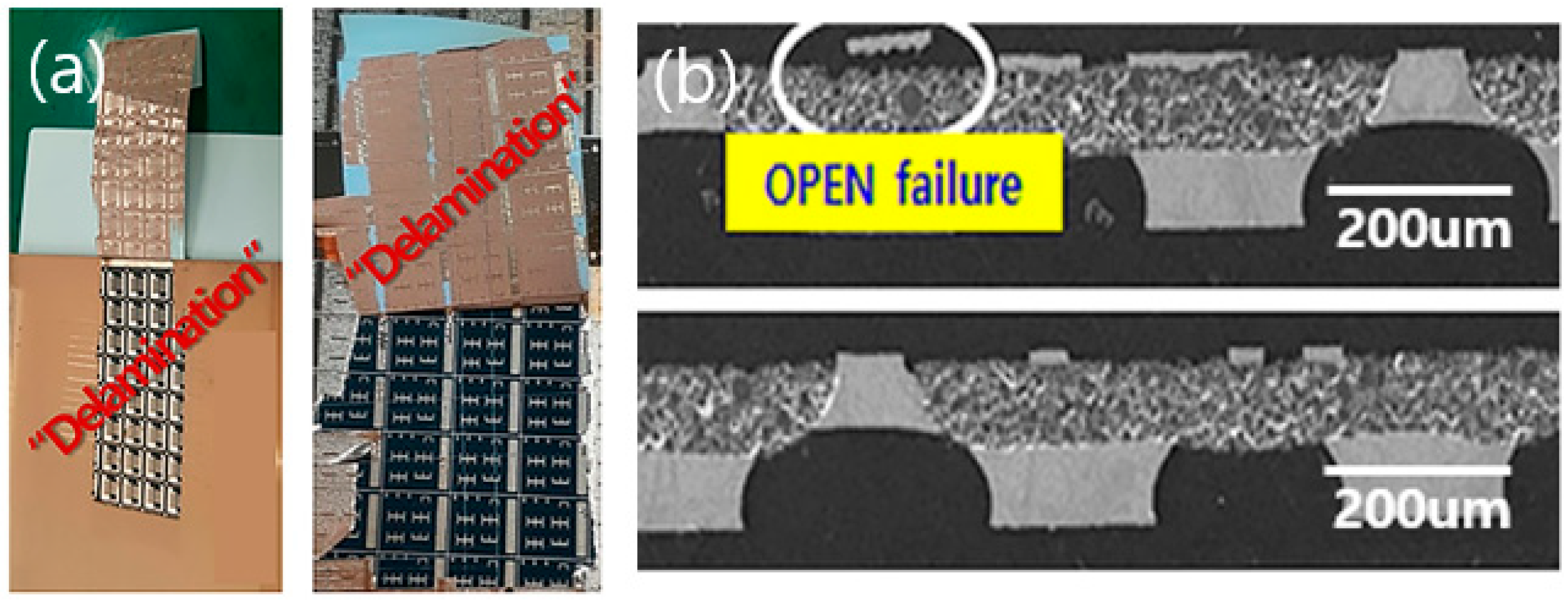 Coatings 12 00612 g002 550